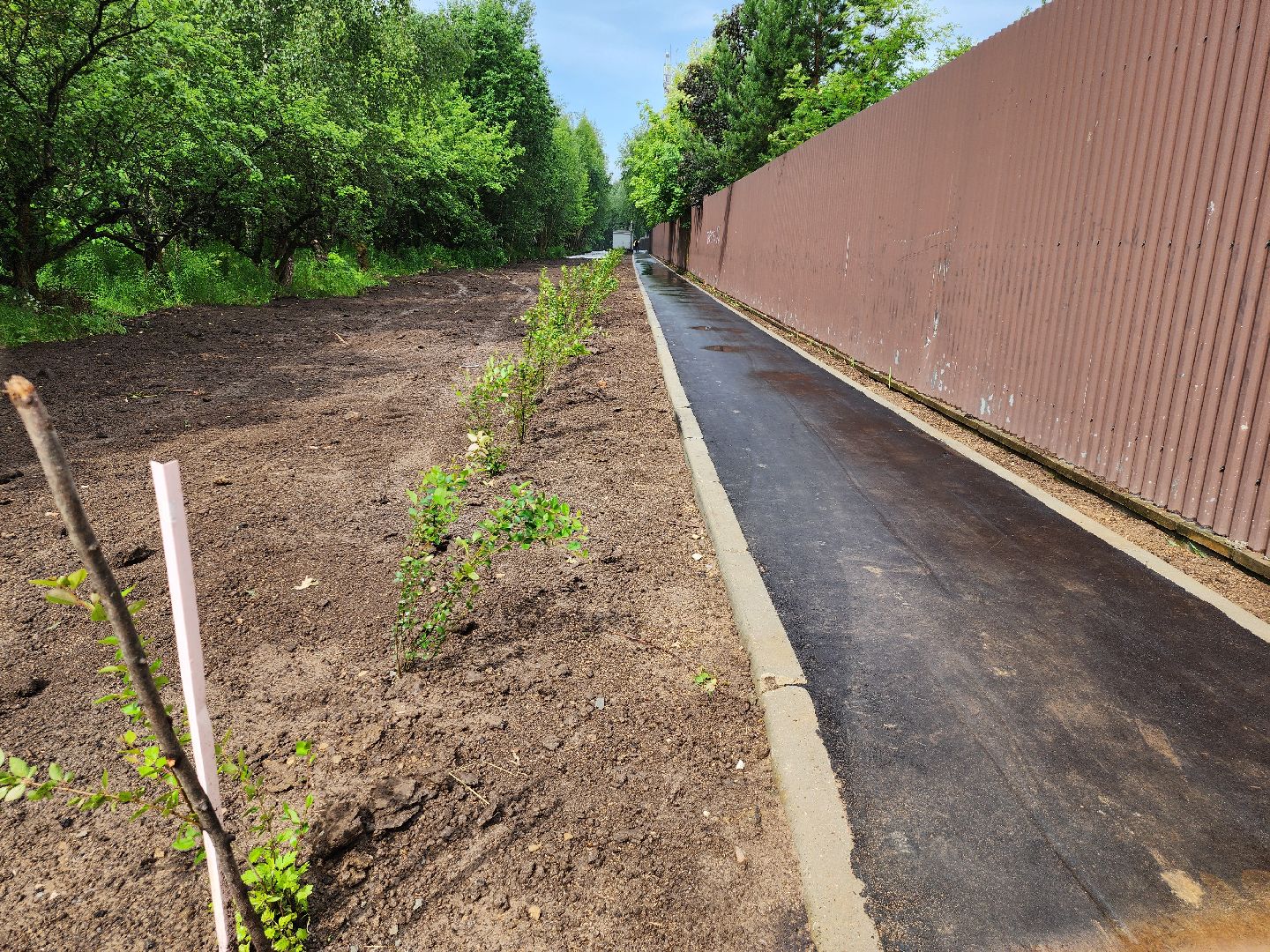 благоустройство, тропа жизни, пешеходная дорожка, деревня Спасское, расторгуево, ленинский округ, лго, тропинка,