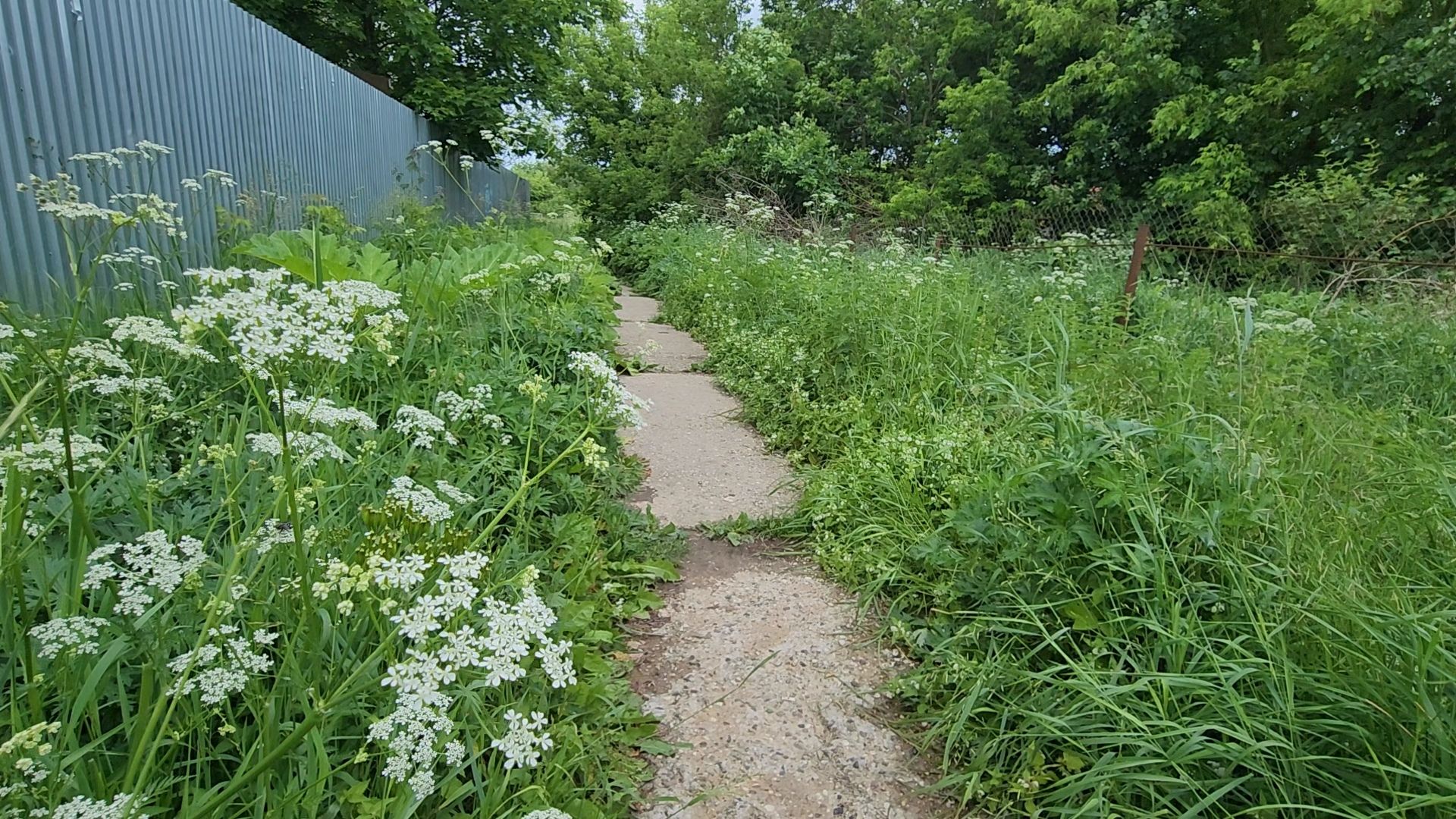 благоустройство, пешком, кубинка, одинцово, народная тропа,