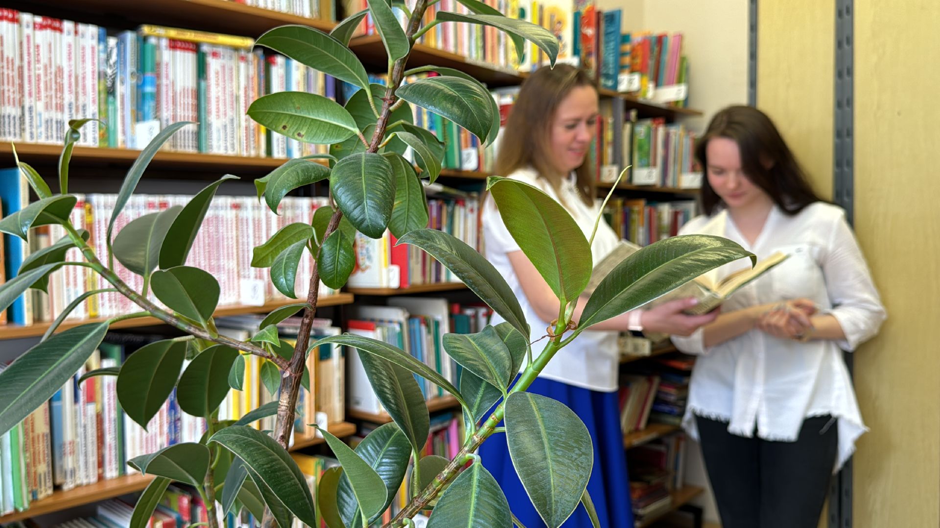 Одинцово, Стобалльница, ЕГЭ, 100 баллов по литературе,