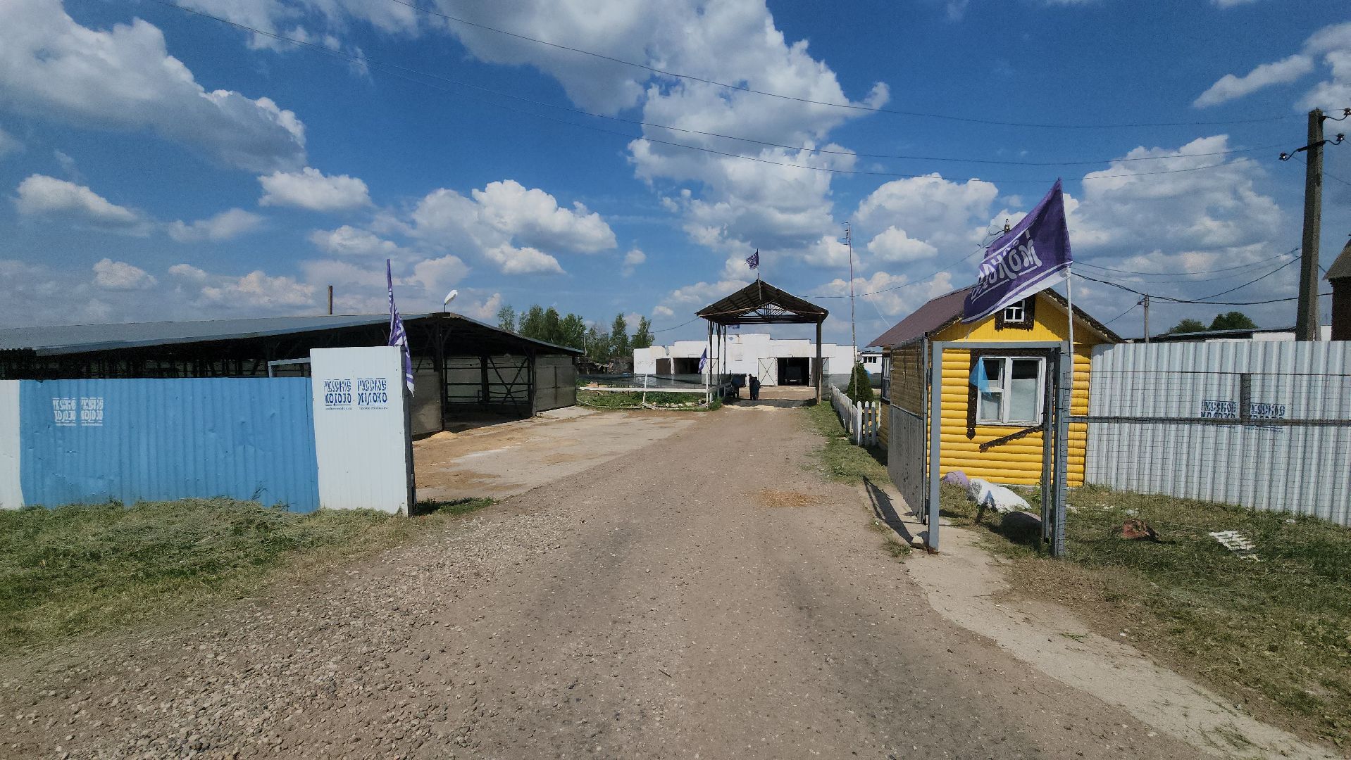 сельское хозяйство, агрохолдинг рузское молоко, ферма, Руза, рузский городской округ, московская область, подмосковье,