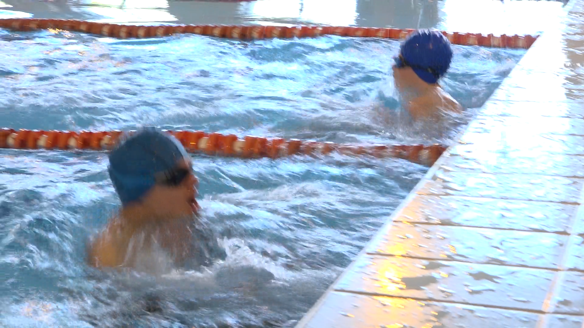 первенство по плаванию, соревнования по плаванию, плавание СШ Власихи, Власиха плавание, бассейн перспектива власиха,