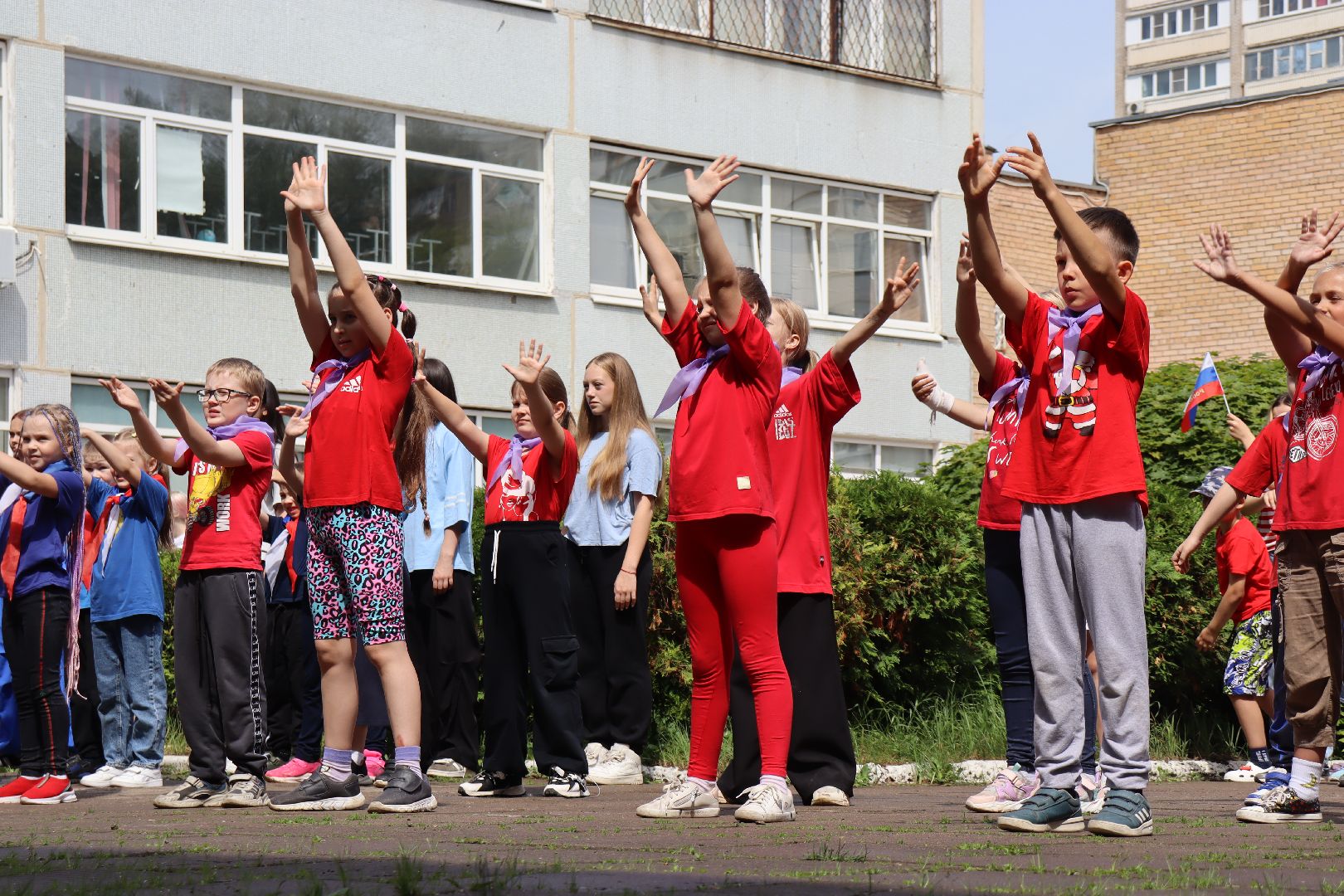 гимназия 5, дзержинский, летний лагерь Солнышко,