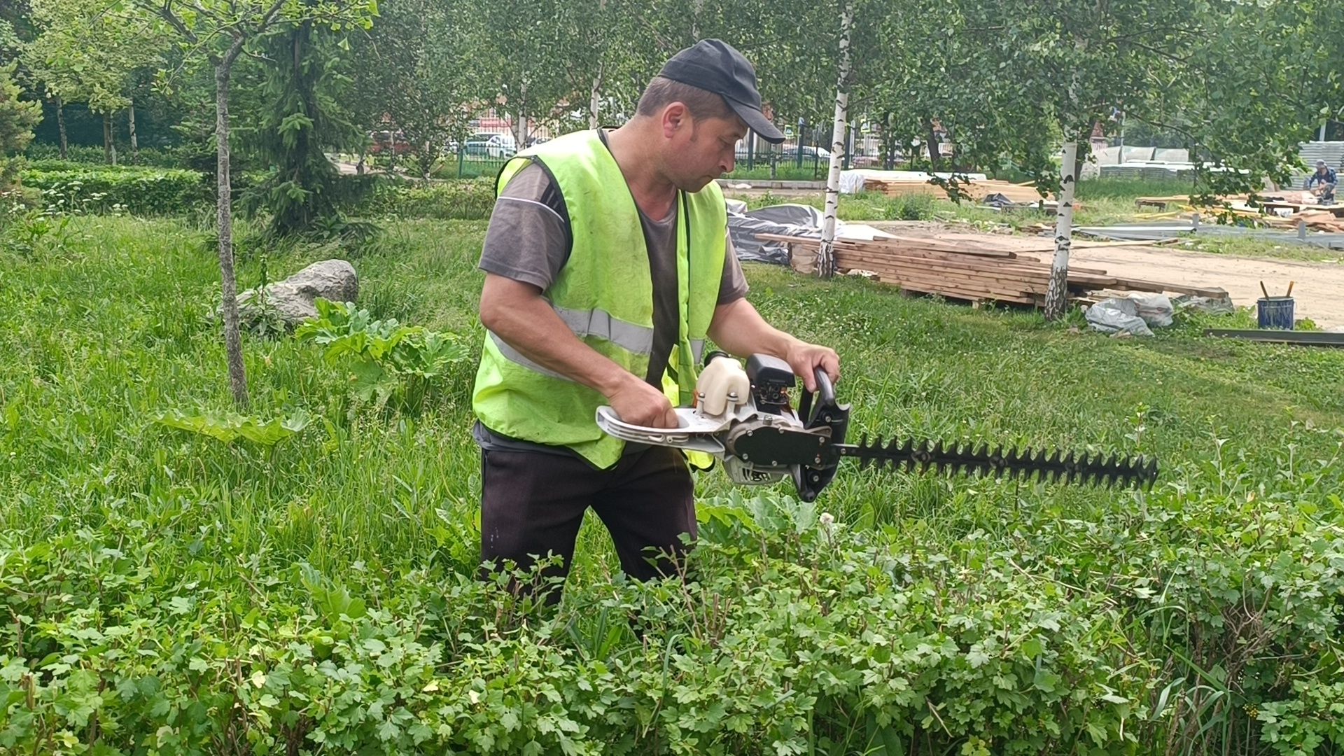 парк, живая изгородь, лобня, благоуйстройство,