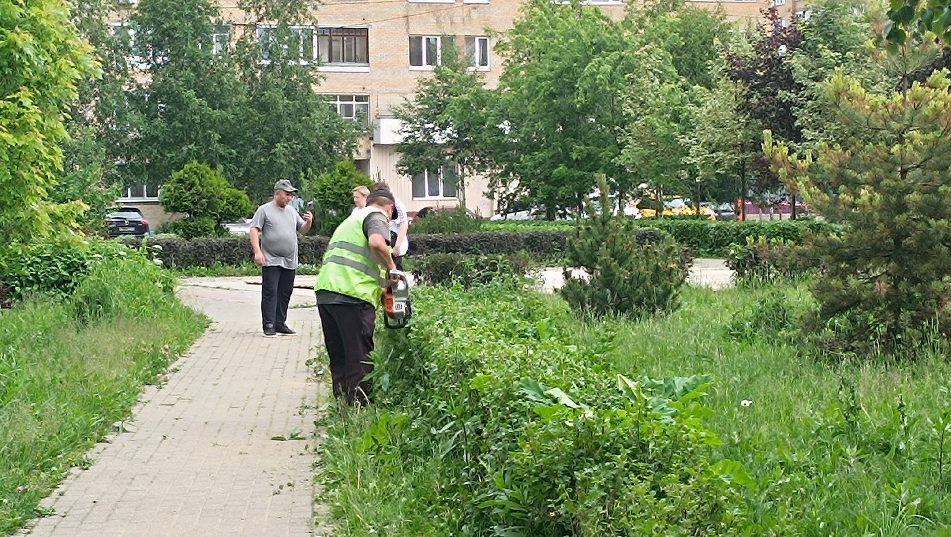 парк, живая изгородь, лобня, благоуйстройство,
