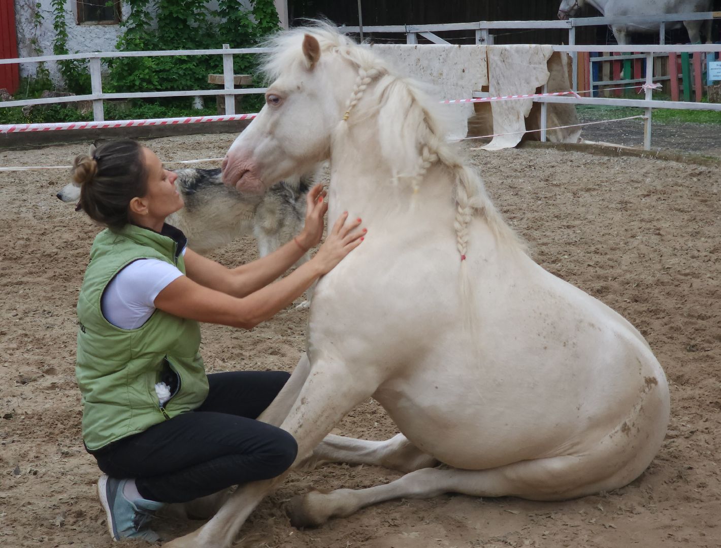 Звенигород, Туризм, Культура, Конные прогулки,