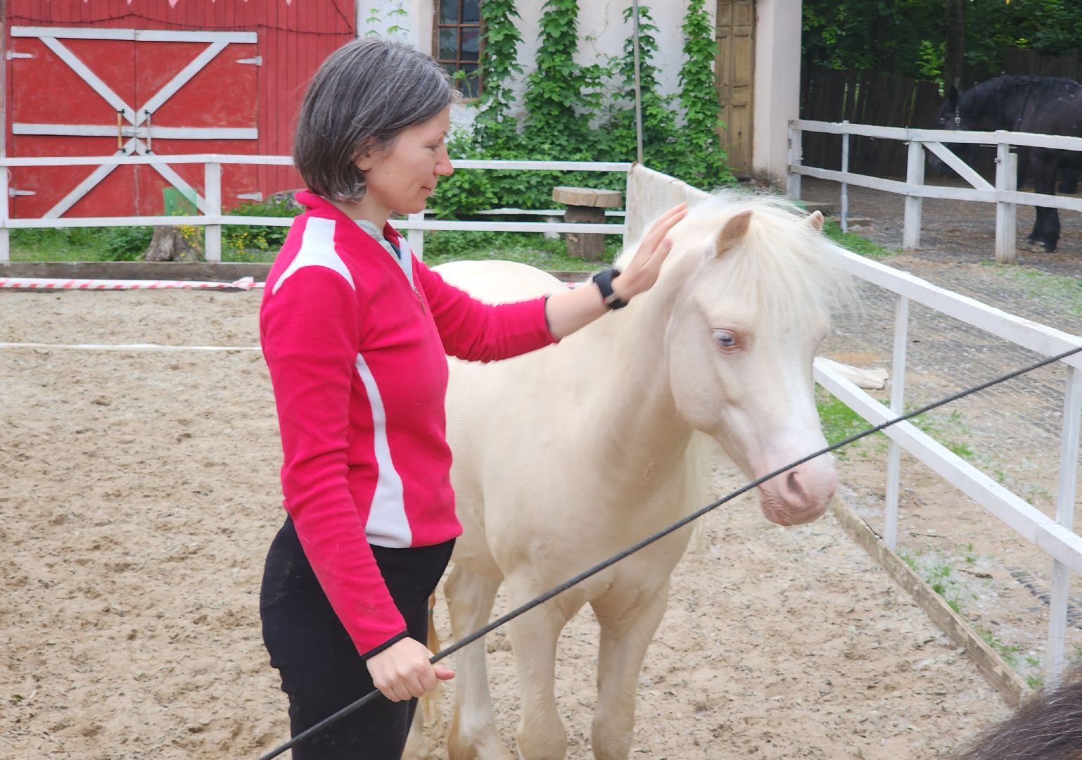 Звенигород, Туризм, Культура, Конные прогулки,