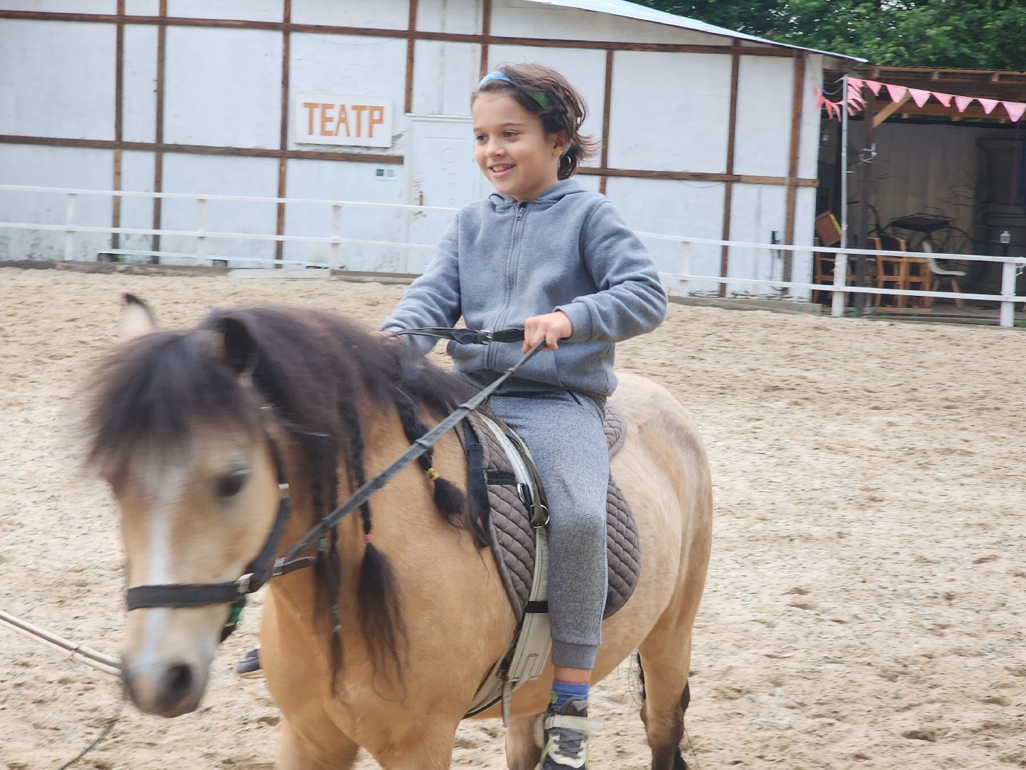 Звенигород, Туризм, Культура, Конные прогулки,