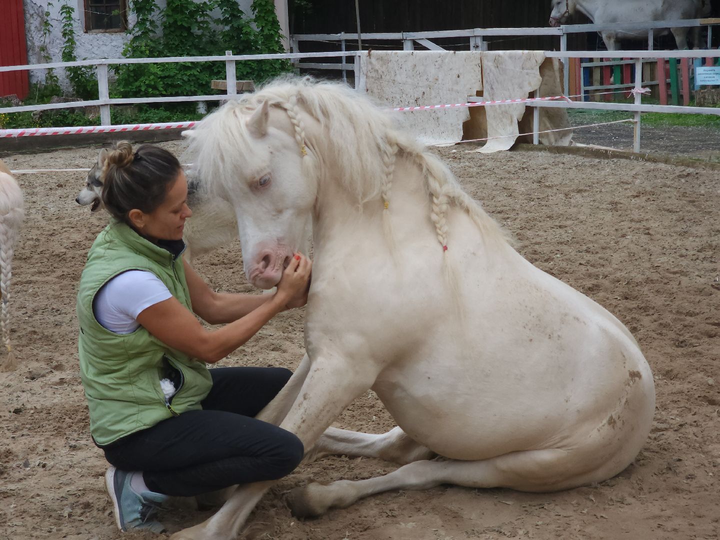 Звенигород, Туризм, Культура, Конные прогулки,