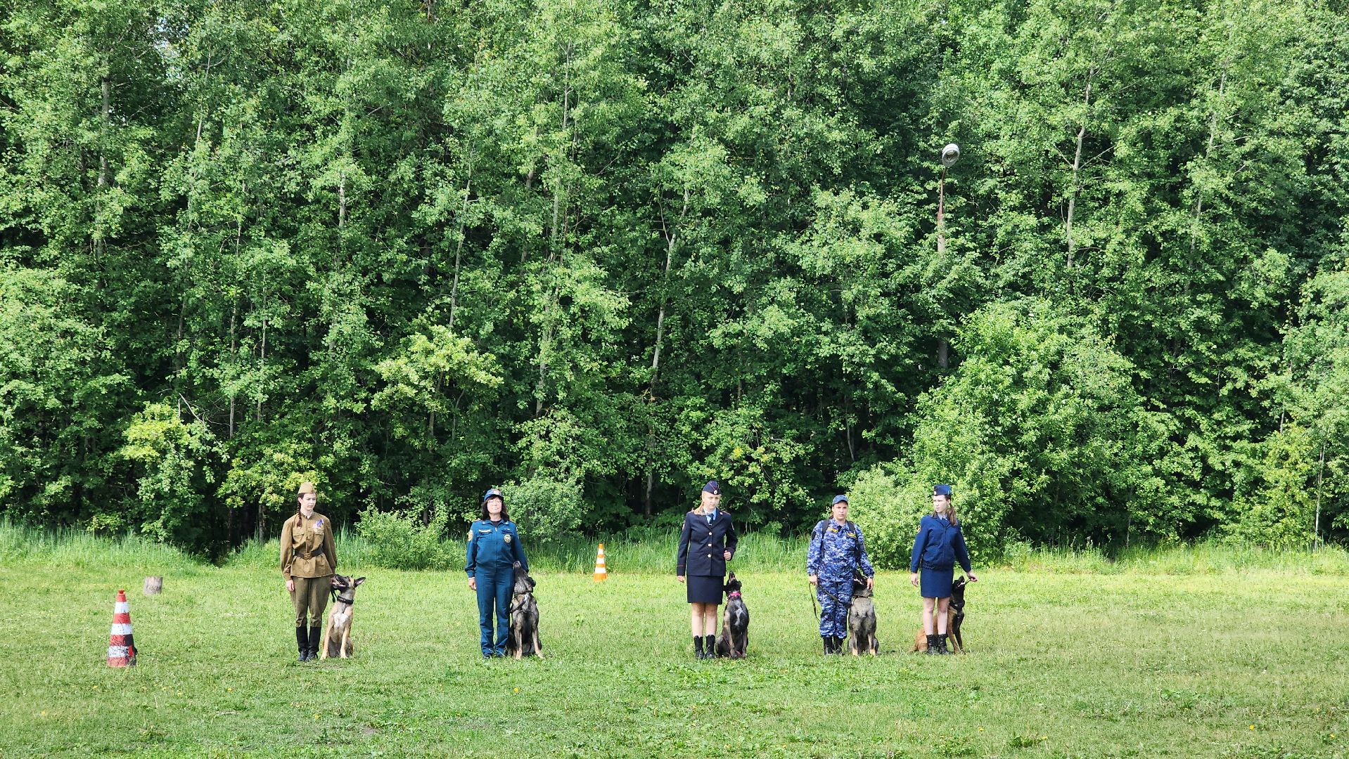 Чемпионат, Чемпионы, профессии, Протвино, Кинологи,
