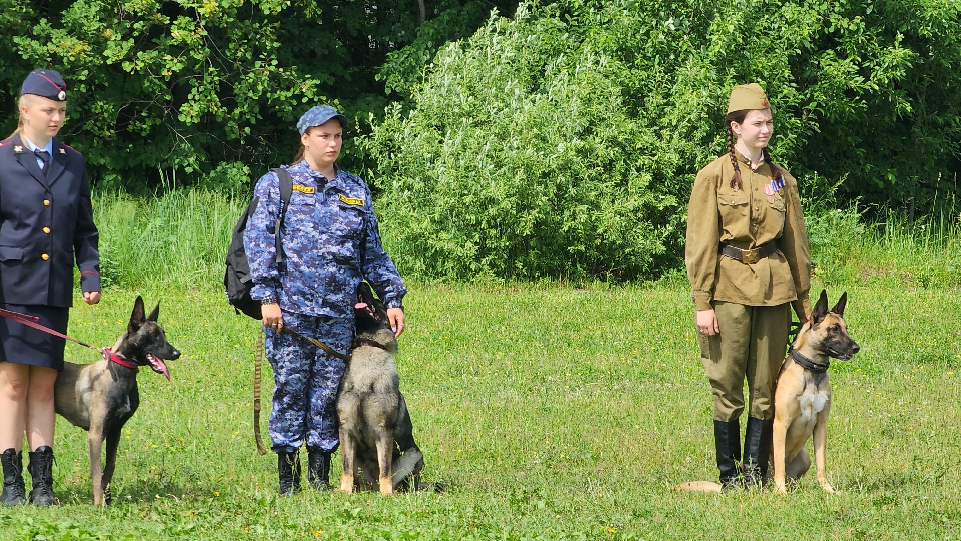 Чемпионат, Чемпионы, профессии, Протвино, Кинологи,