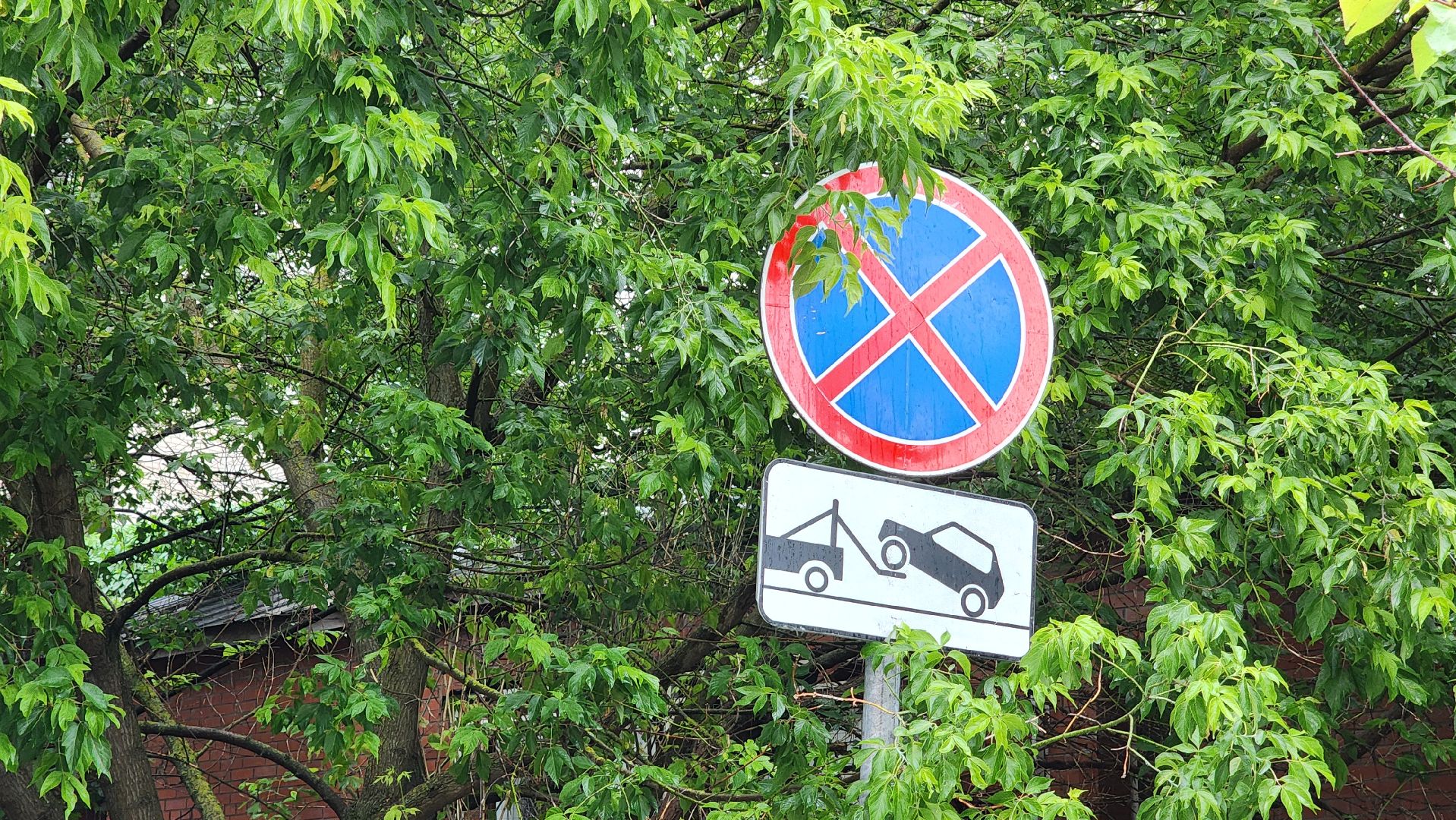 Протвино, обход, обход территории, встреча администрации с жителями, благоустойство,