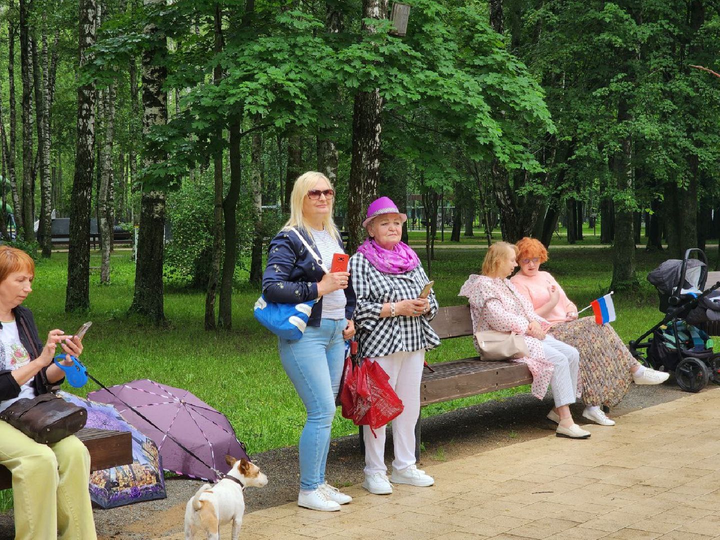 Солнечногорск, День России, Праздник, Жители, Город,