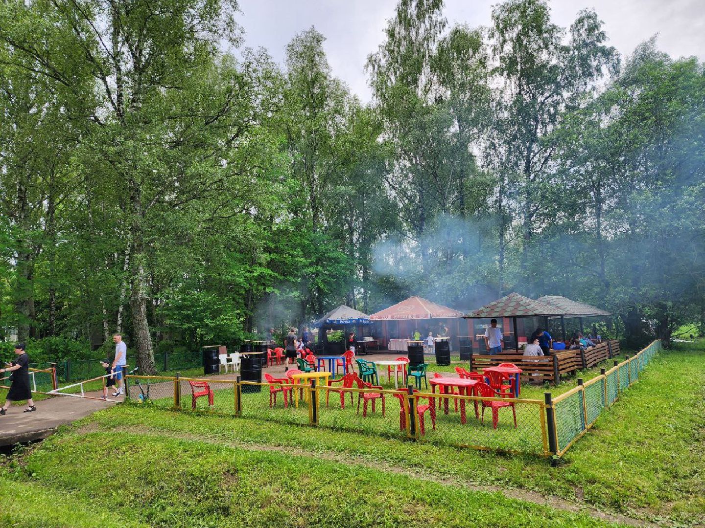 чехов, день россии, парашют, аэродром волосово, праздник,