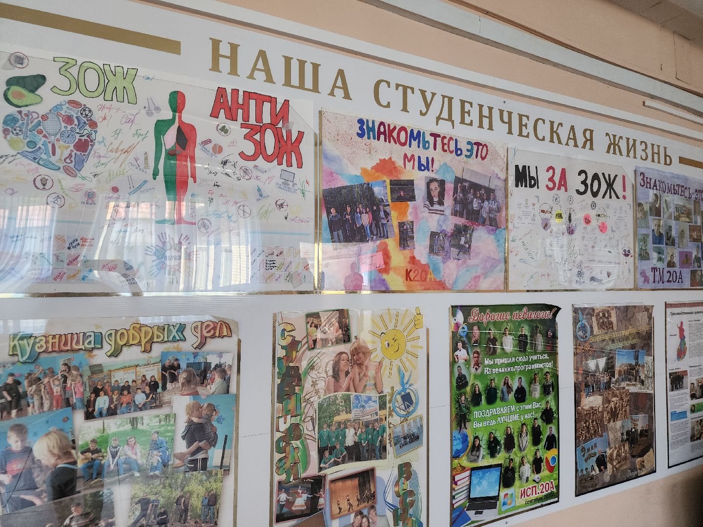 профессионалитет, профессионалитет ты в хорошей компании, орехово-зуевский округ, среднее специальное образование,