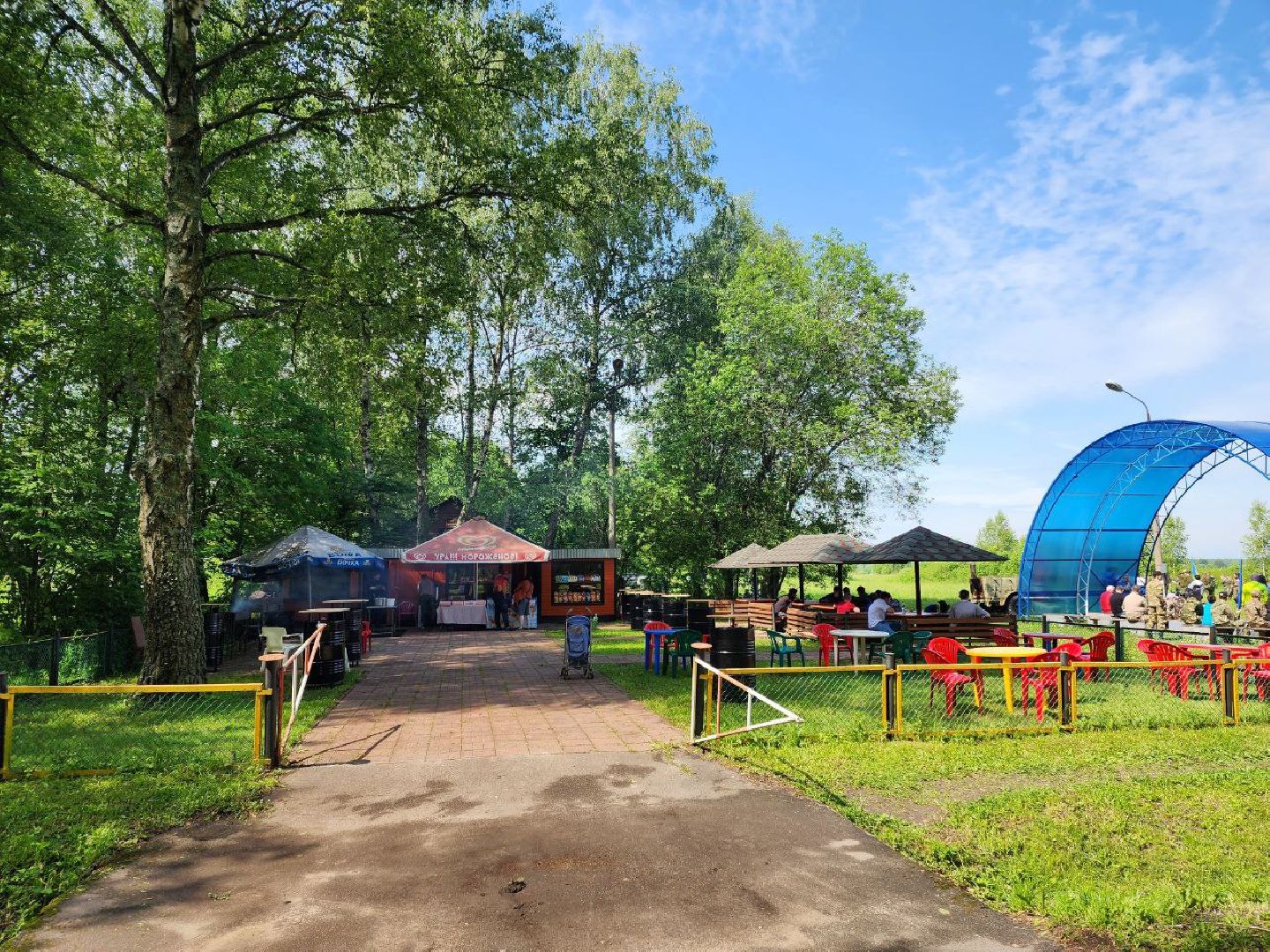 чехов, день россии, праздник, аэродром волосово, десантники,