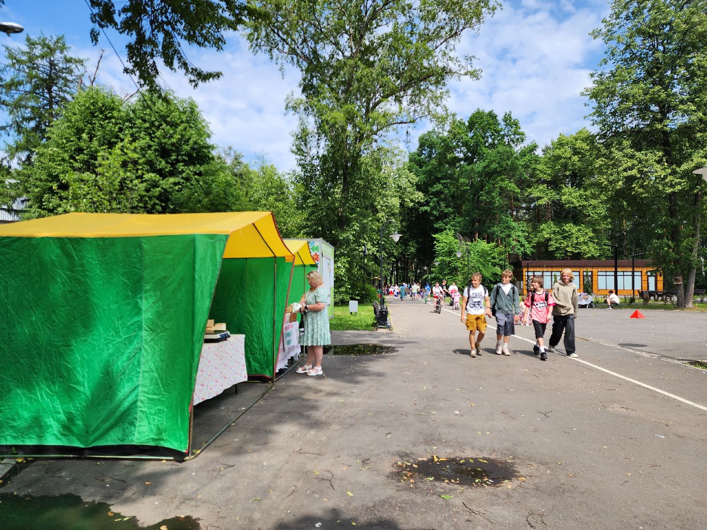 ногинск, парки подмосковья, день россии, фестиваль, общество, жители,