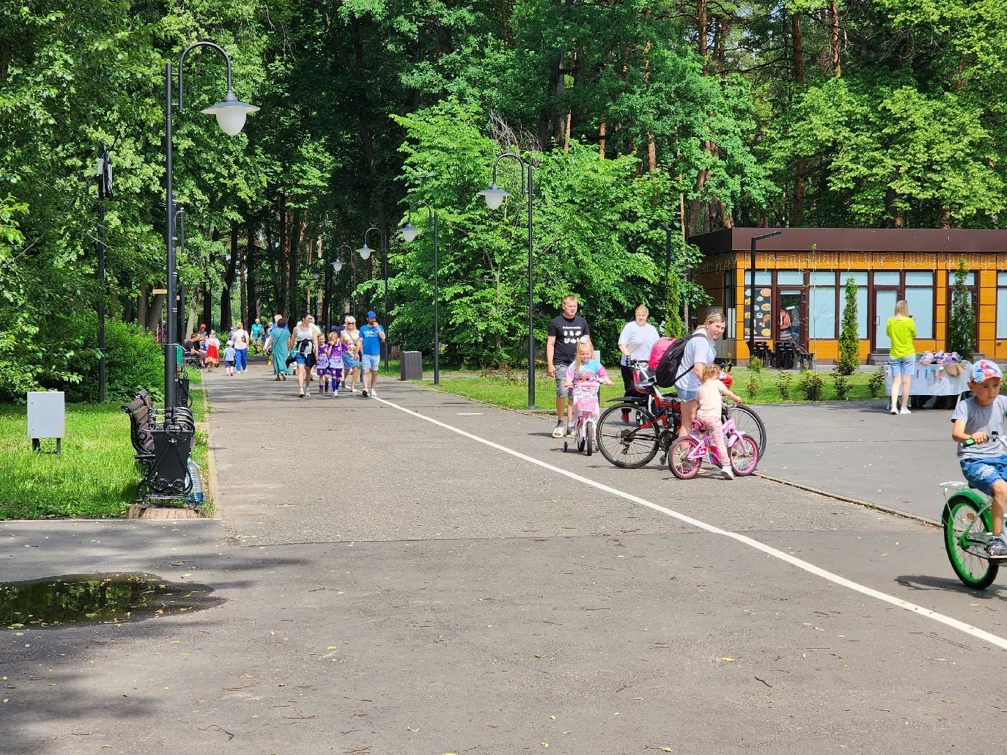 ногинск, парки подмосковья, день россии, фестиваль, общество, жители,