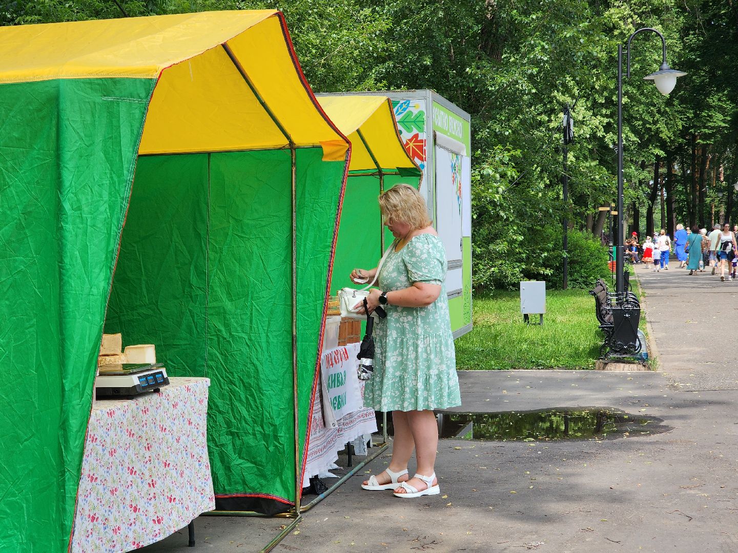 ногинск, парки подмосковья, день россии, фестиваль, общество, жители,