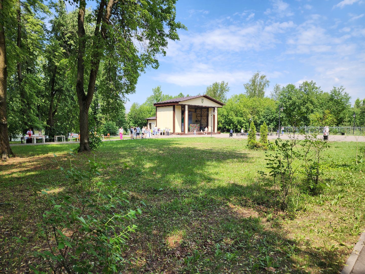 ногинск, парки подмосковья, день россии, фестиваль, общество, жители,