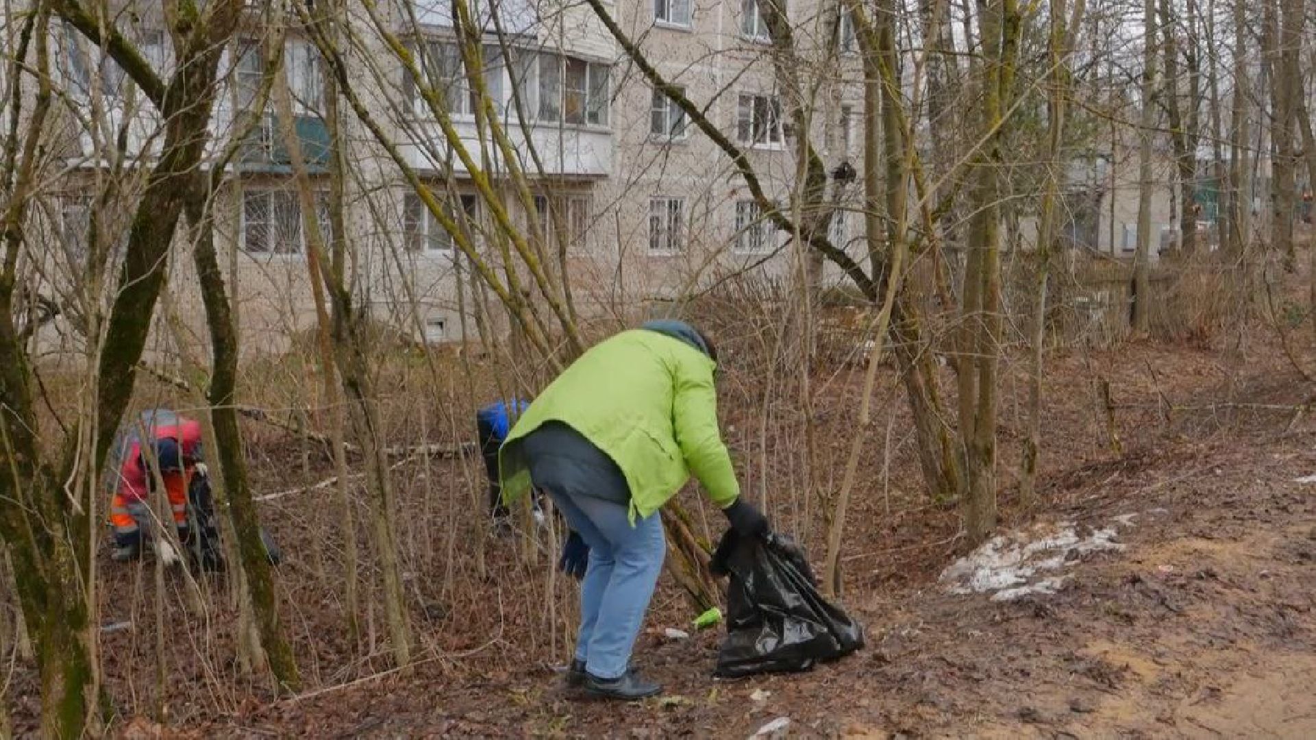 субботники, чистота