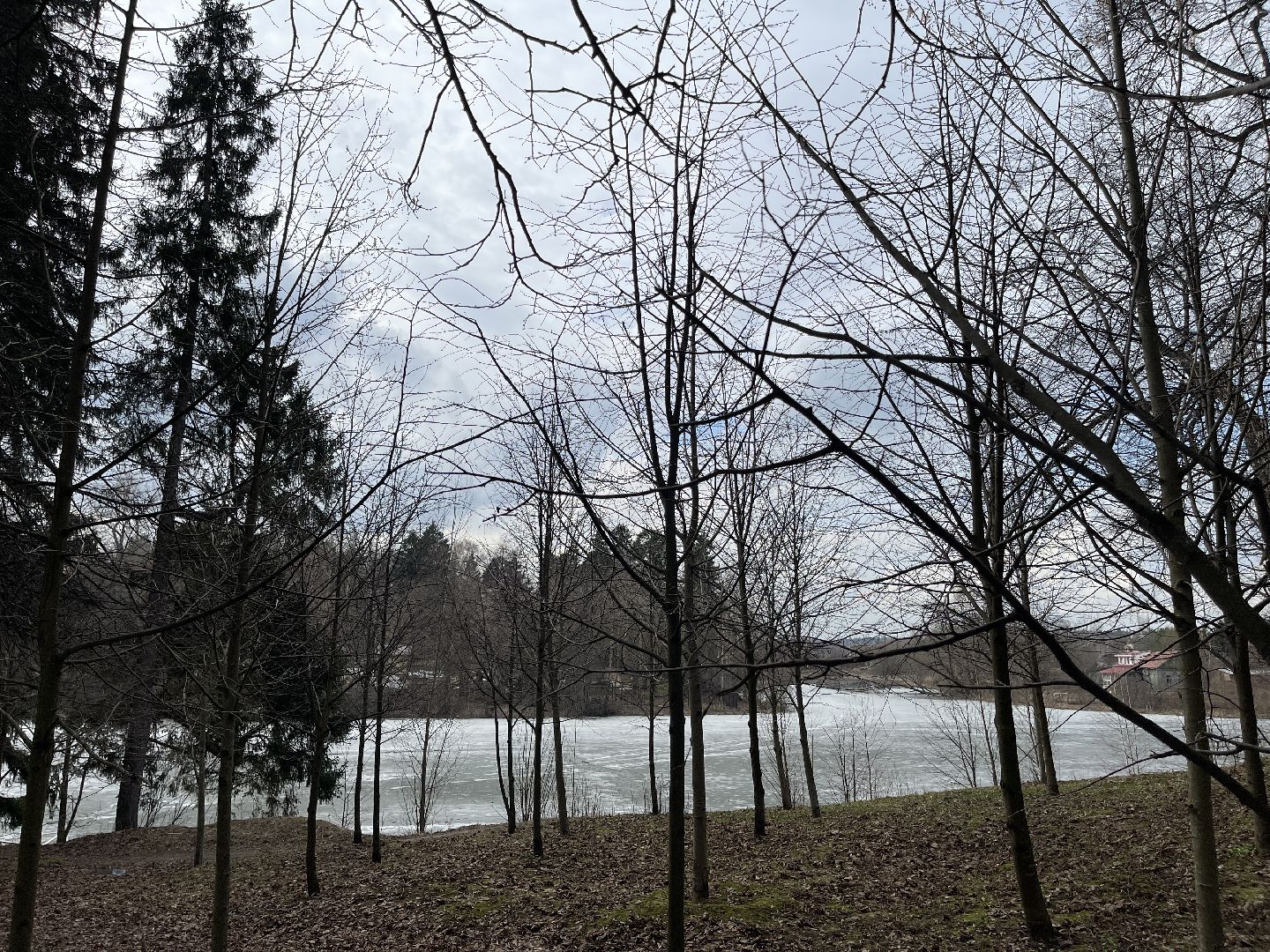 Одинцово, Захарово, экология, пруд, очистка, история, Пушкин, Ганнибал, рыбалка, купание, водоём,