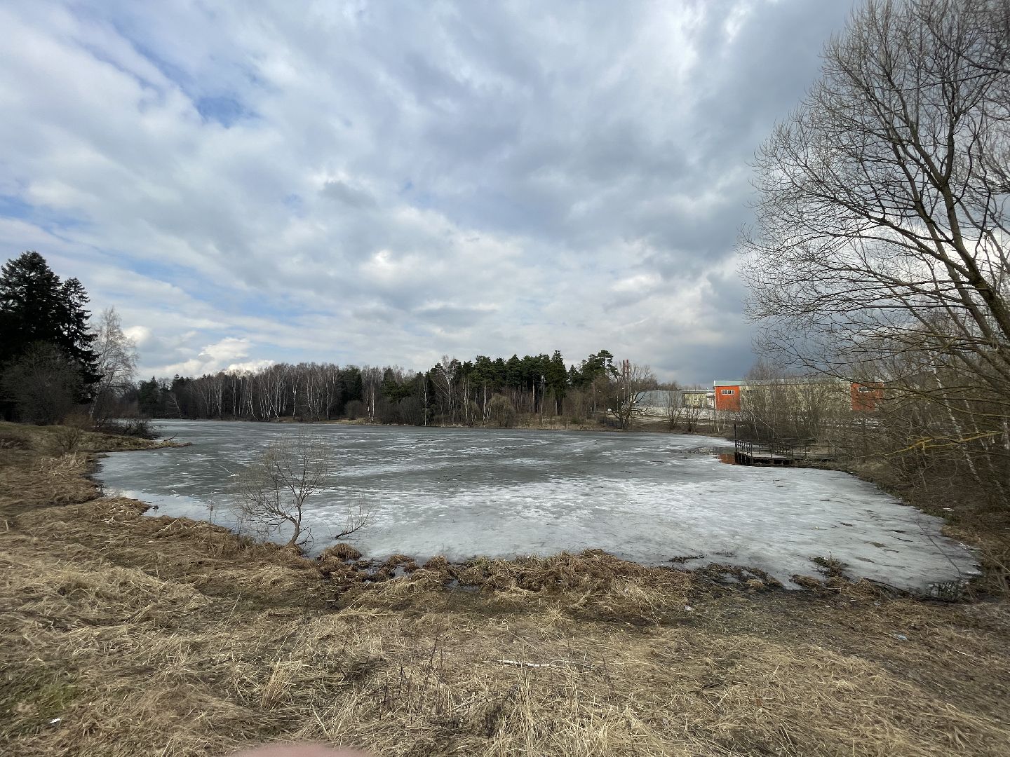 Одинцово, Захарово, экология, пруд, очистка, история, Пушкин, Ганнибал, рыбалка, купание, водоём,