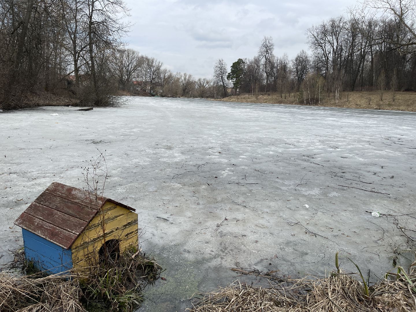 Одинцово, Захарово, экология, пруд, очистка, история, Пушкин, Ганнибал, рыбалка, купание, водоём,