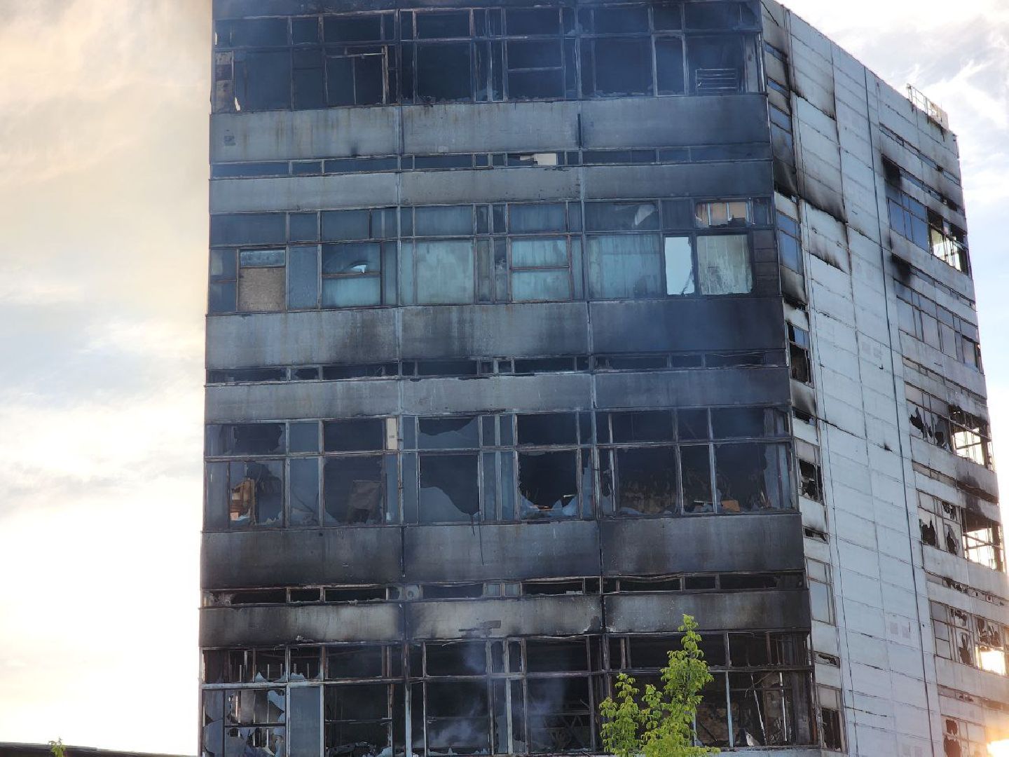 андрей воробьёв, фрязино, пожары, мчс,