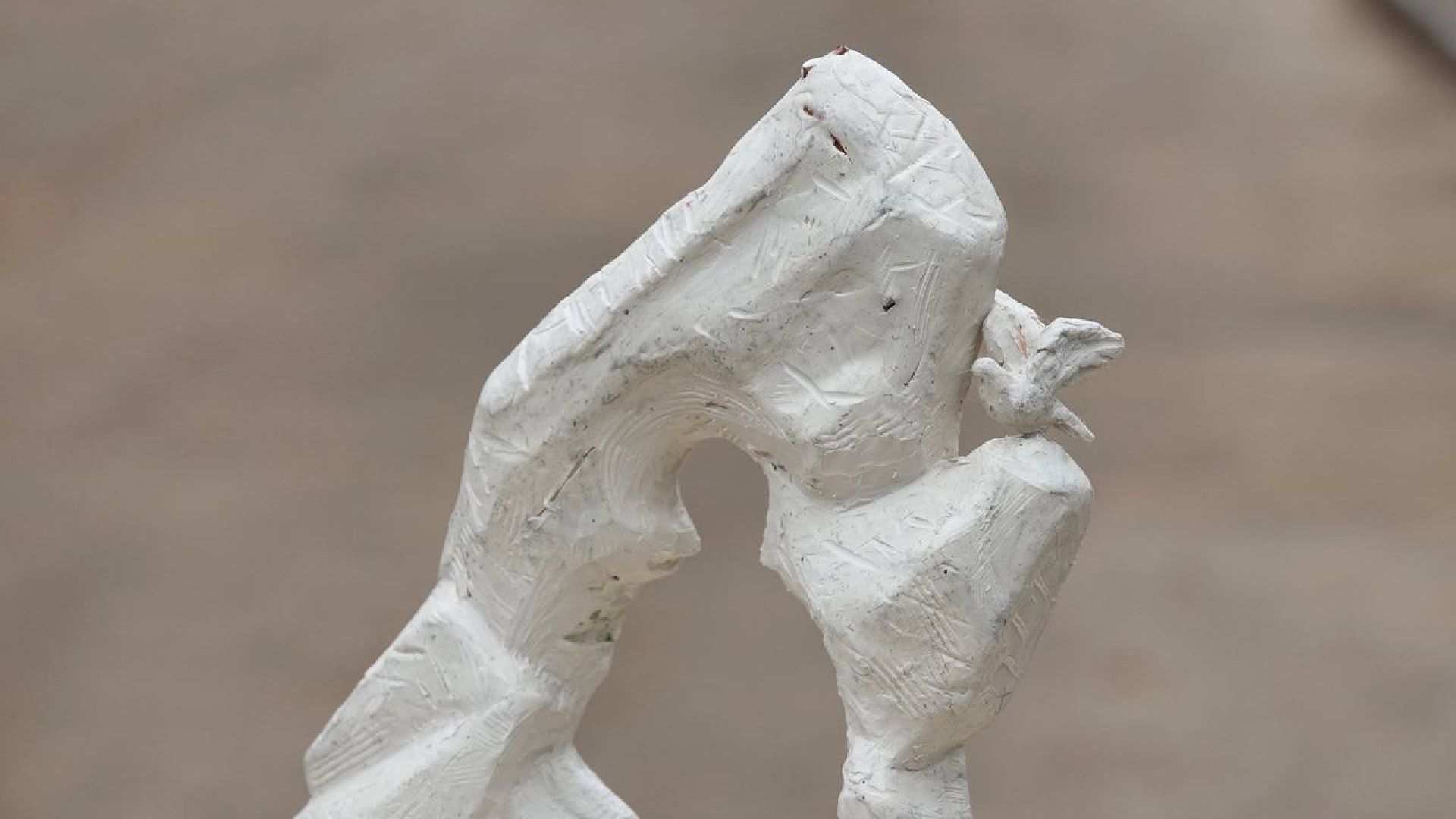 Сергиев Посад, СВО, Память, Сергей Пахомов, Памятник, Сергиево-Посадский городской округ,