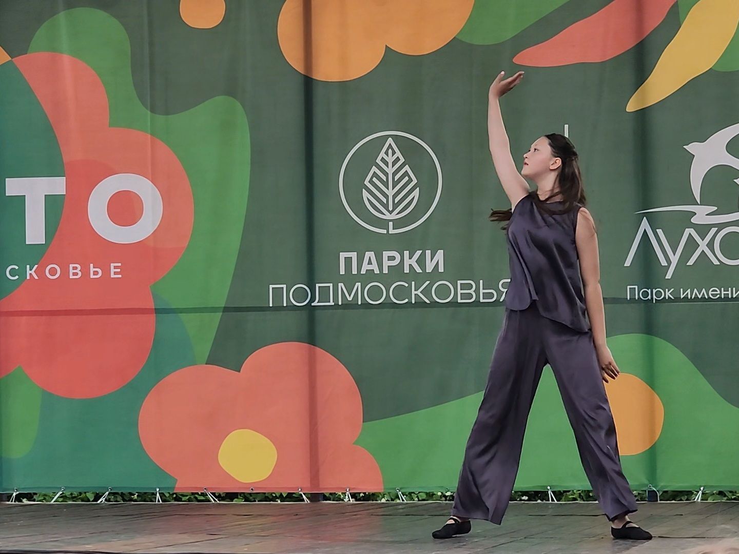 Луховицы, день россии, праздничная программа, парки подмосковья,