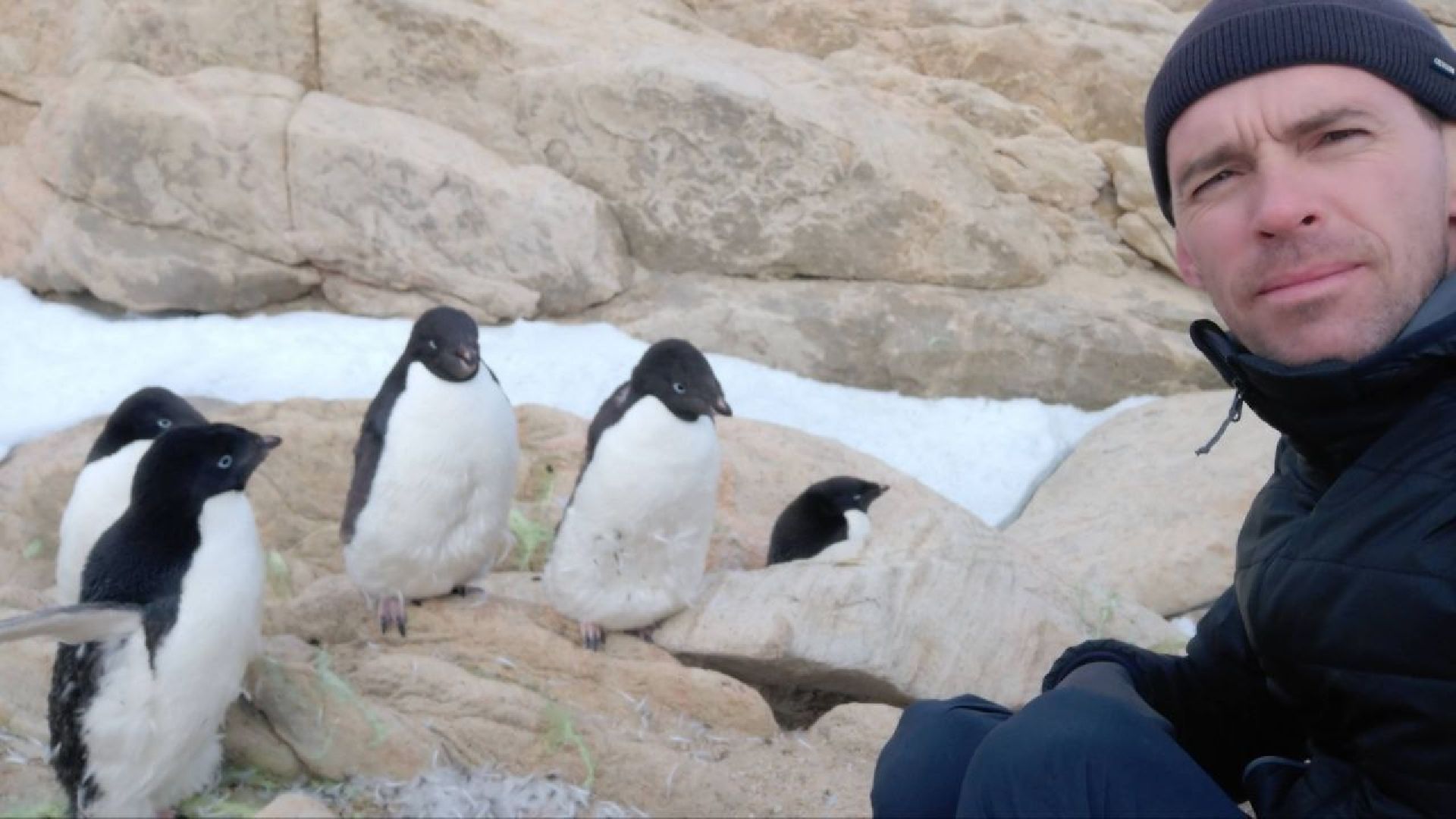 люберцы, Антарктида, Антарктика,