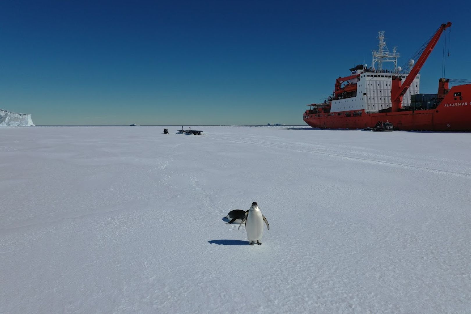 люберцы, Антарктида, Антарктика,