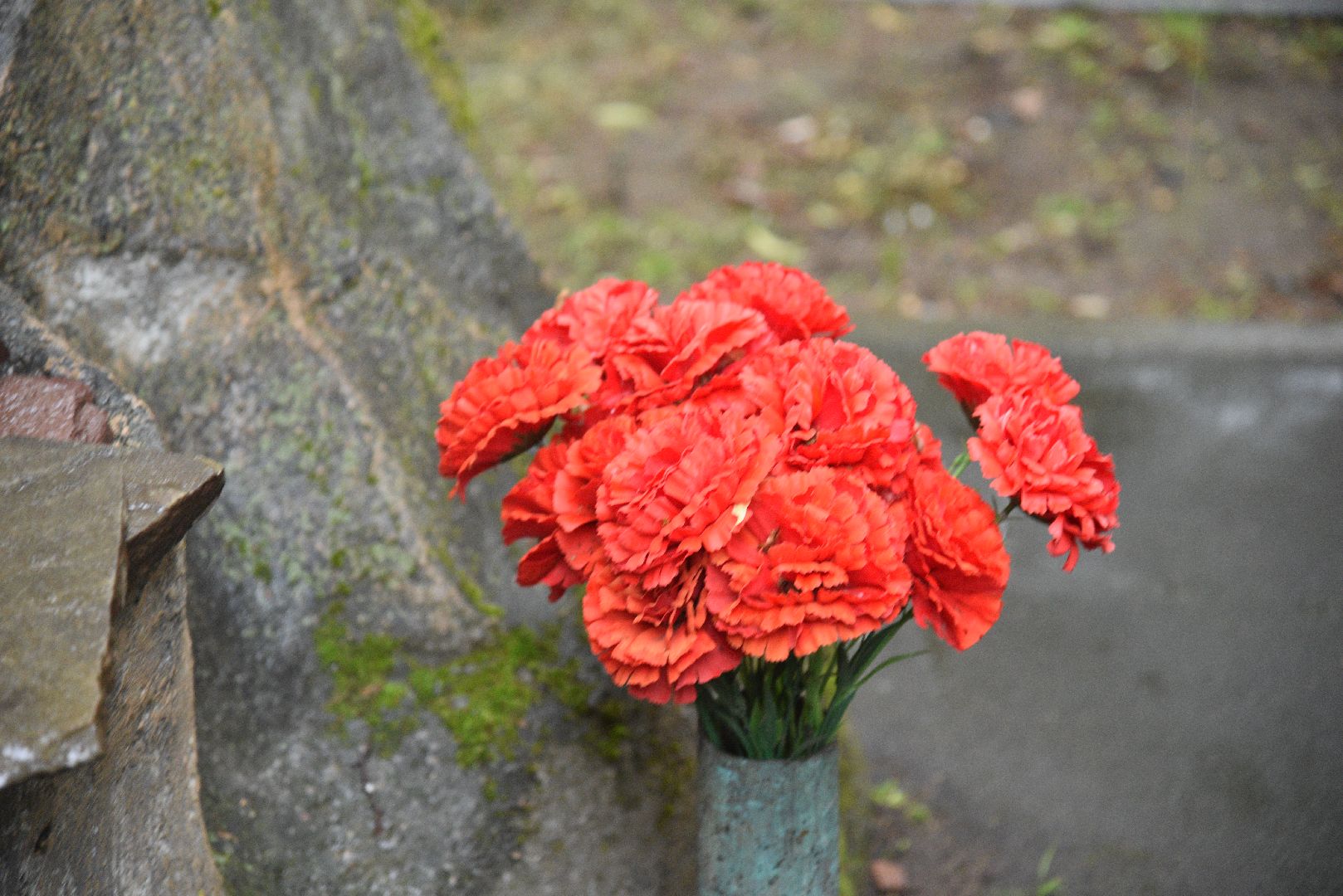 лотошино, лотошинский парк, сво, память о героях спецоперации, парки подмосковья, день россии,