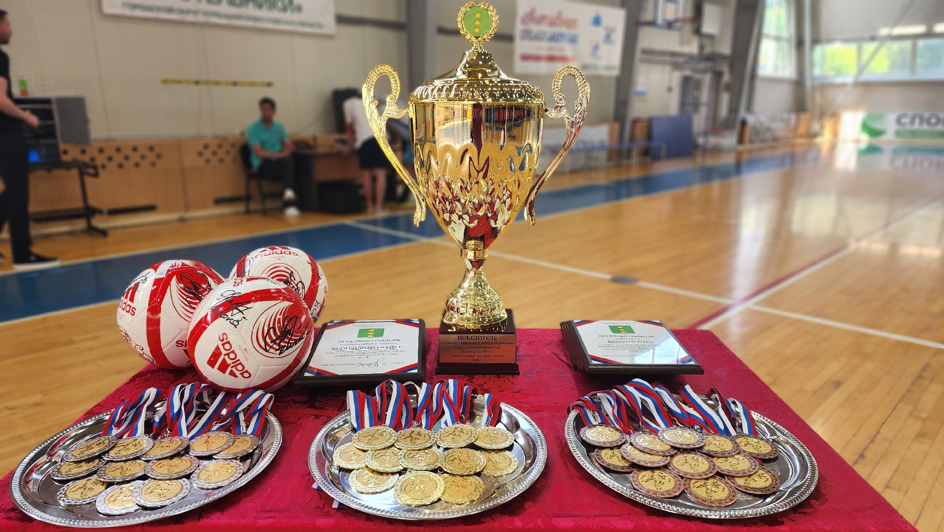 мини-футбол, чемпионат, день россии 2024,