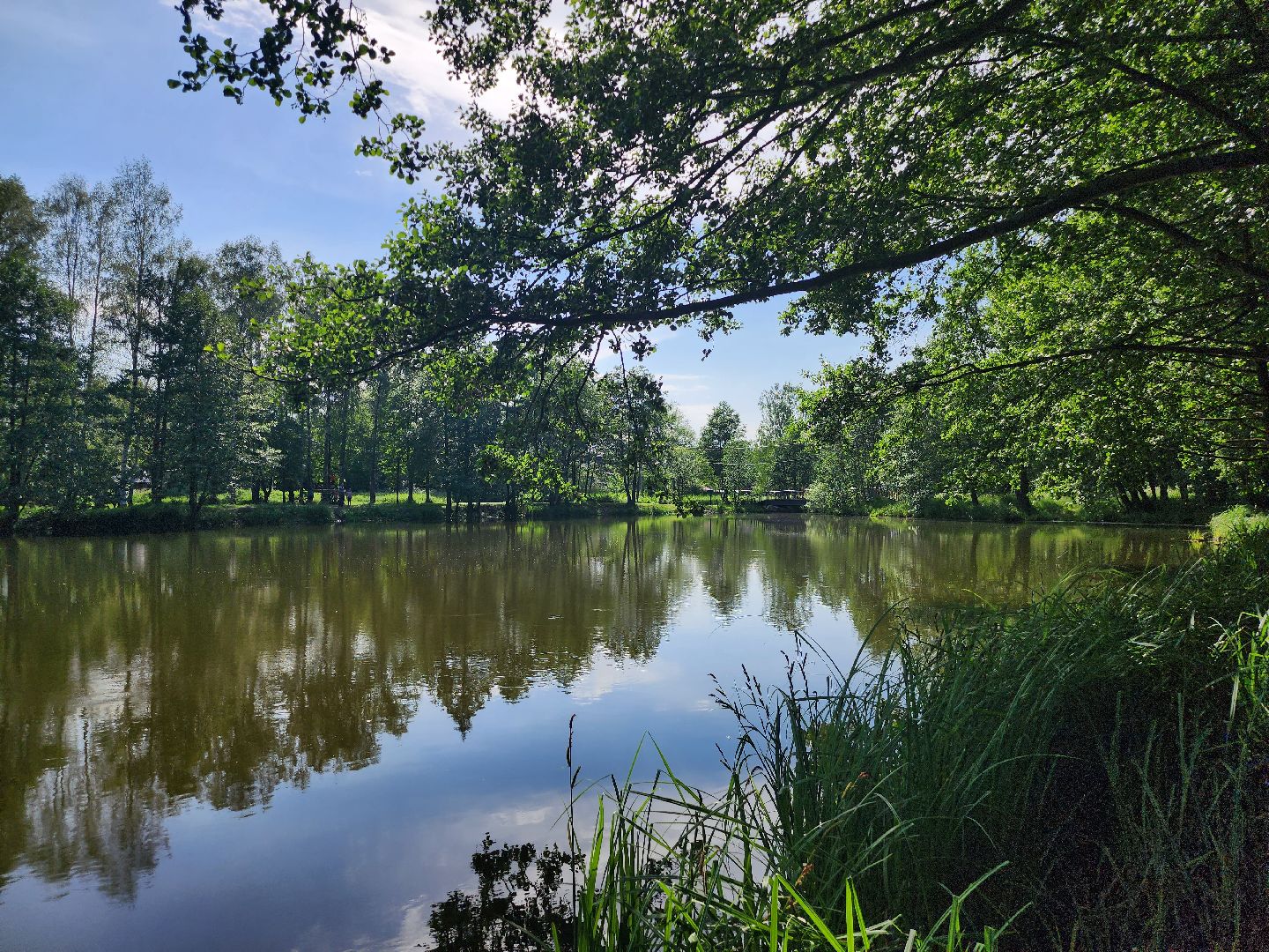 Луховицы, благоустойство, зона отдыха,
