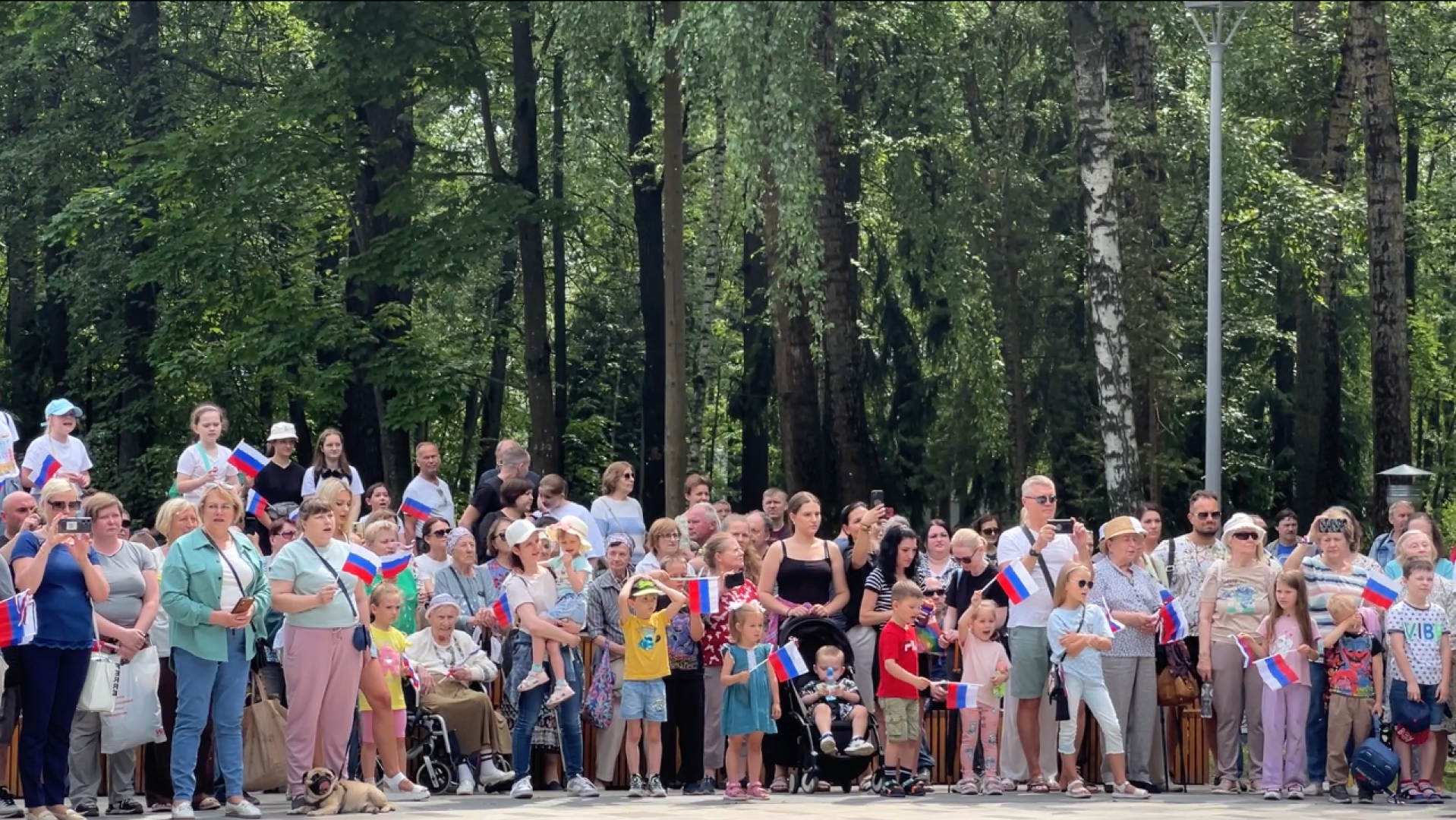 химки, общество, день россии, праздник в парке,