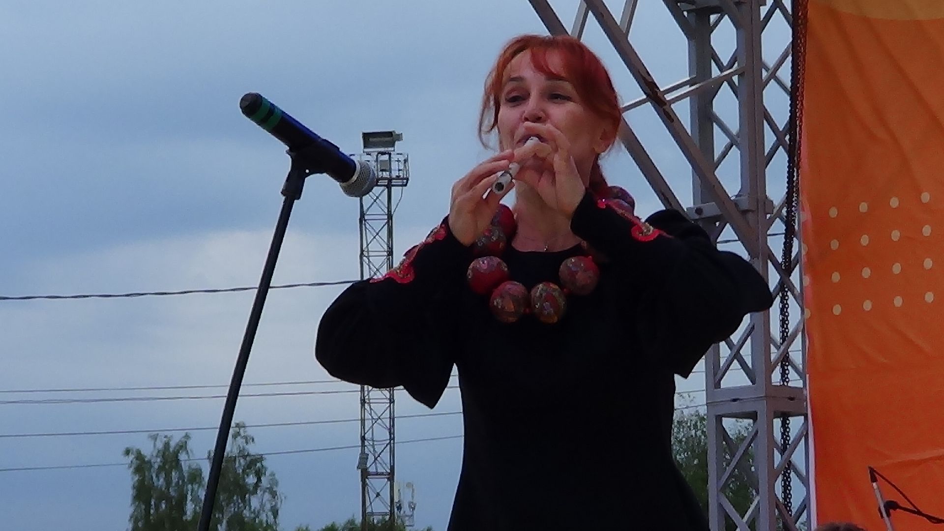 садко, шатура, филармонический ансабль Садко, день россии, культурная шатура,