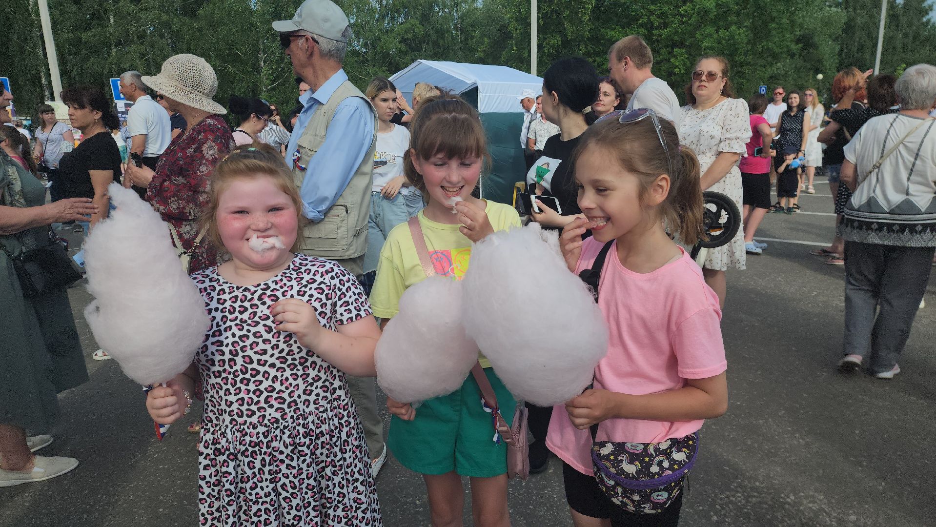 садко, шатура, филармонический ансабль Садко, день россии, культурная шатура,
