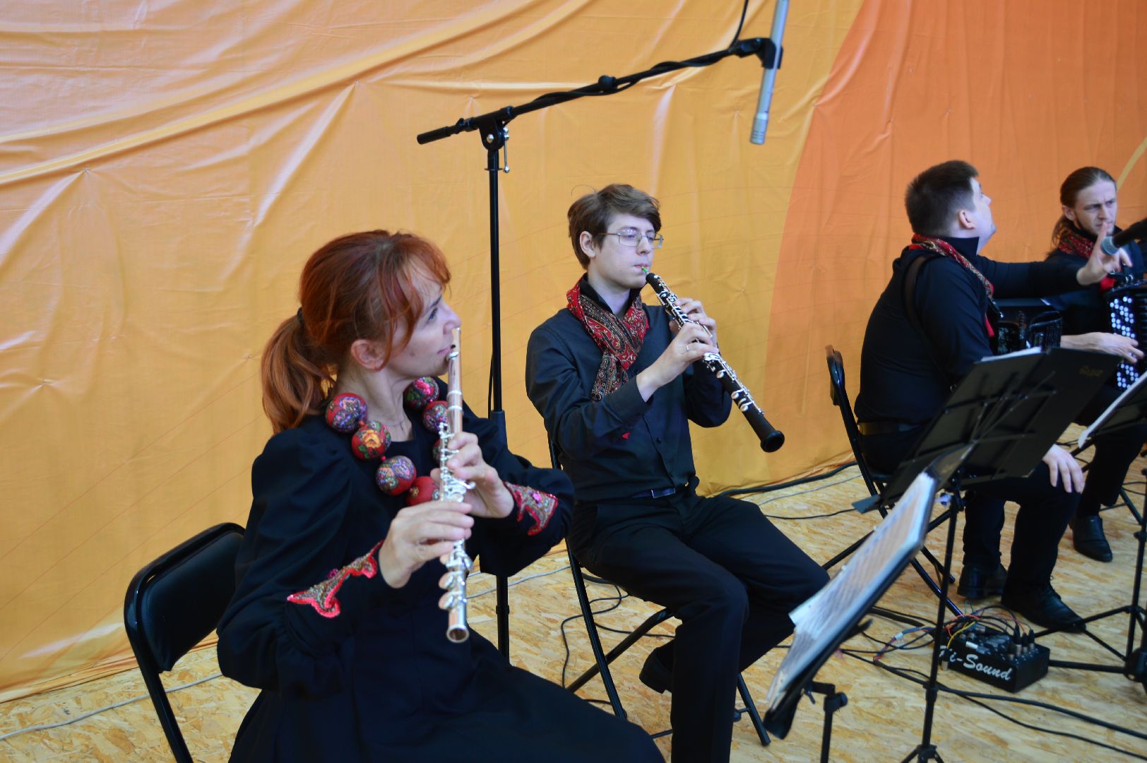 садко, шатура, филармонический ансабль Садко, день россии, культурная шатура,