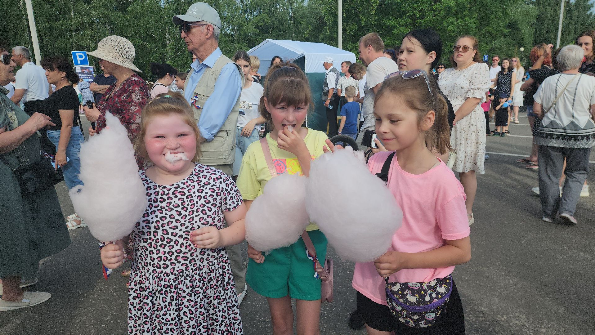 садко, шатура, филармонический ансабль Садко, день россии, культурная шатура,