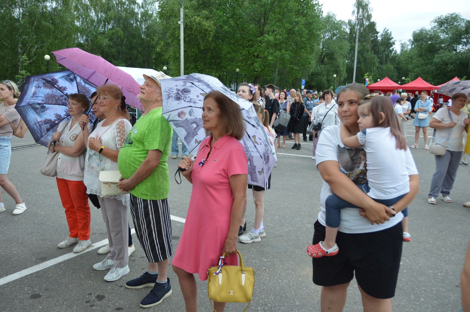 садко, шатура, филармонический ансабль Садко, день россии, культурная шатура,