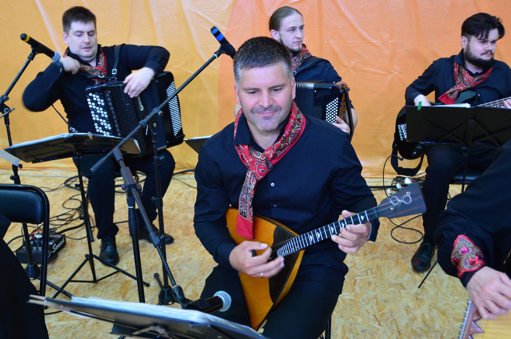 садко, шатура, филармонический ансабль Садко, день россии, культурная шатура,