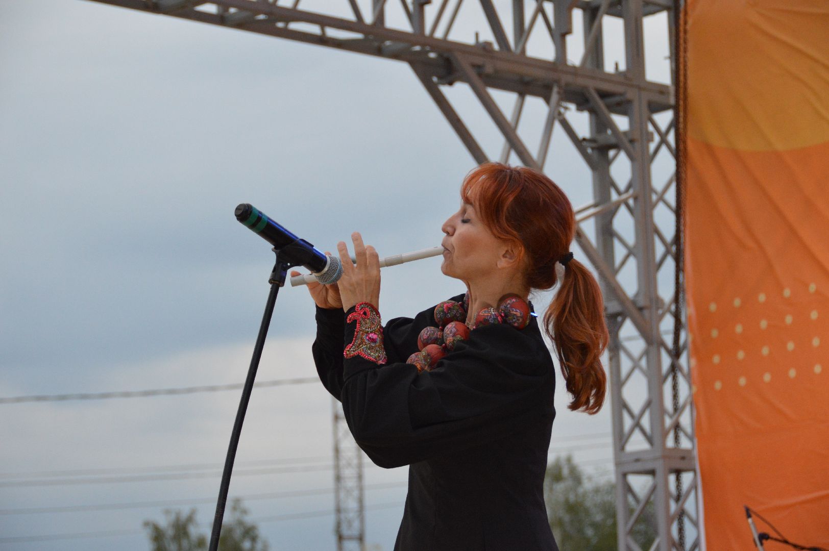 садко, шатура, филармонический ансабль Садко, день россии, культурная шатура,