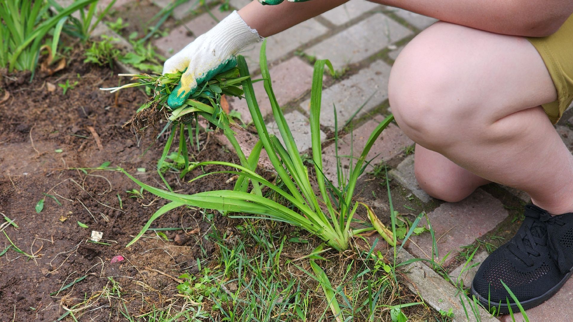 благоустройство, цми, трудовой десант, комбинат благоустройства, протвино,
