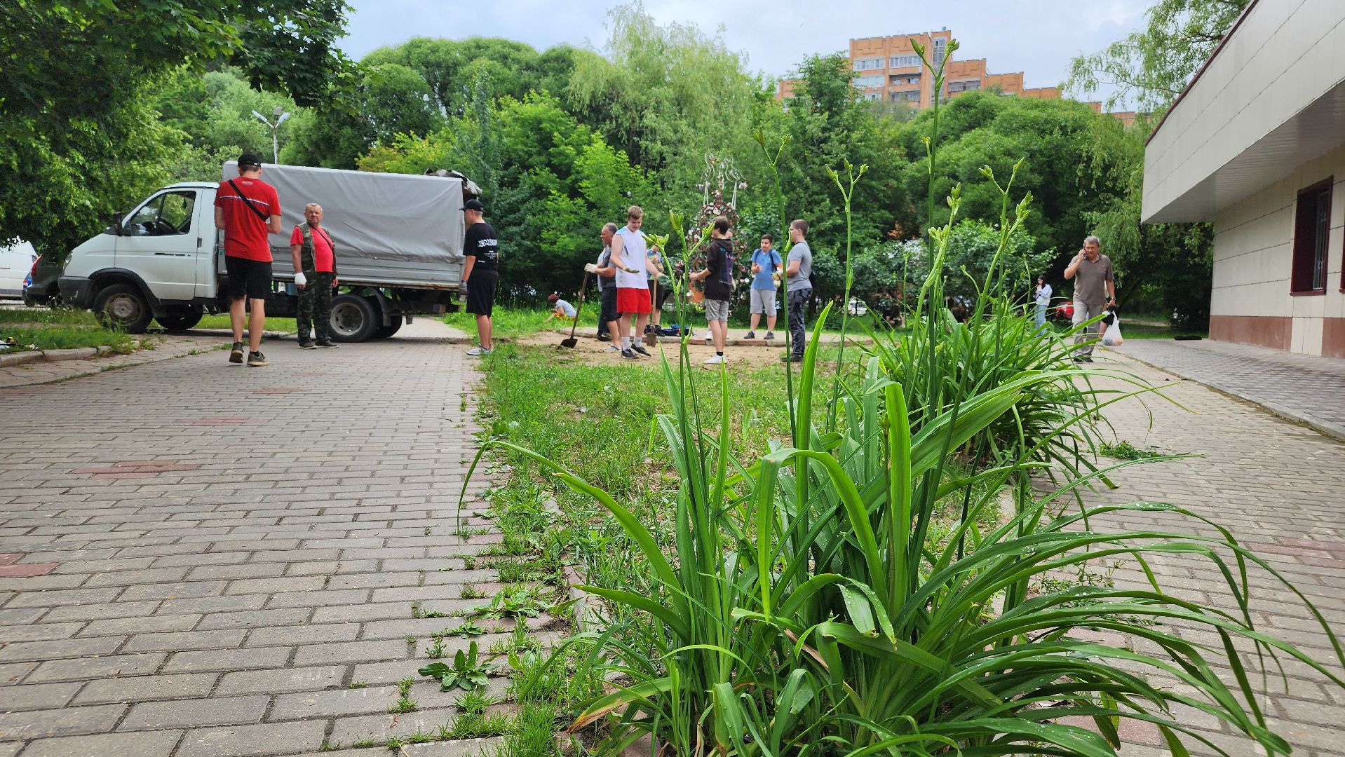 благоустройство, цми, трудовой десант, комбинат благоустройства, протвино,