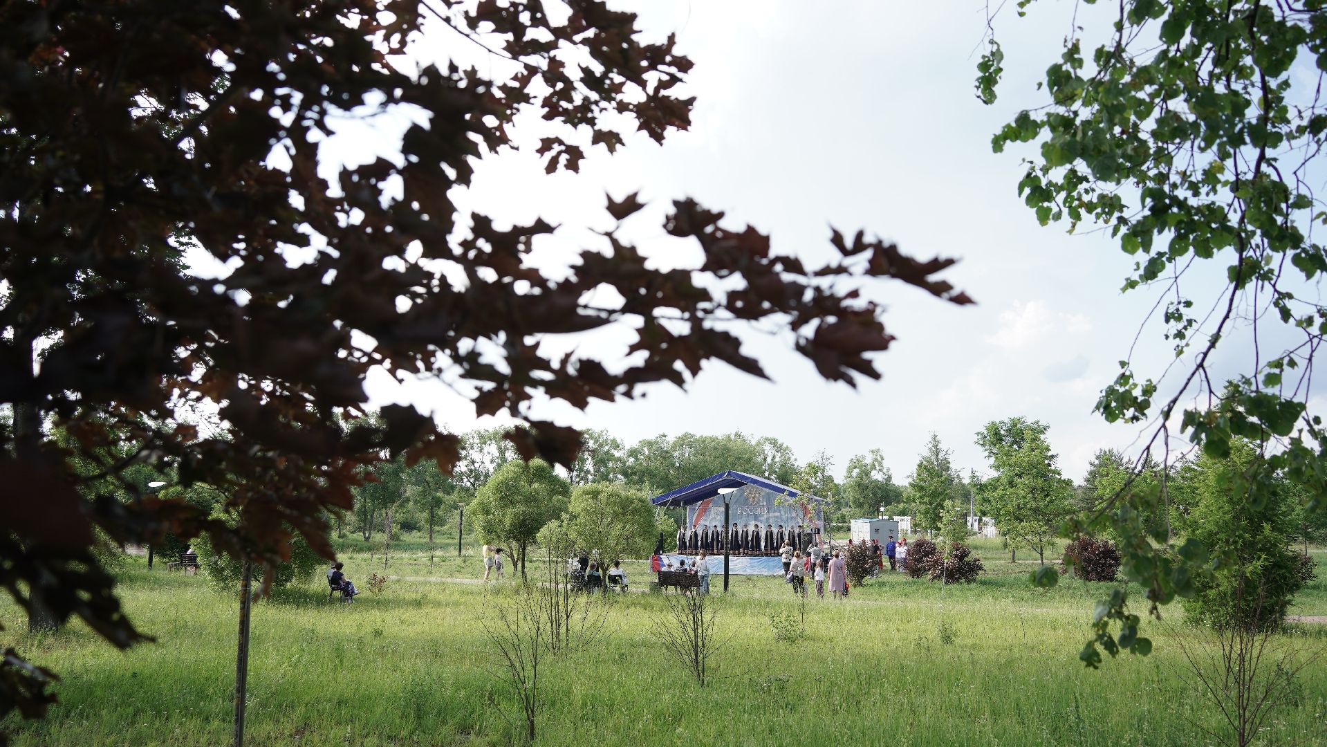День России, праздник, парк Крестов брод, ДК Косякова, Рошаль,