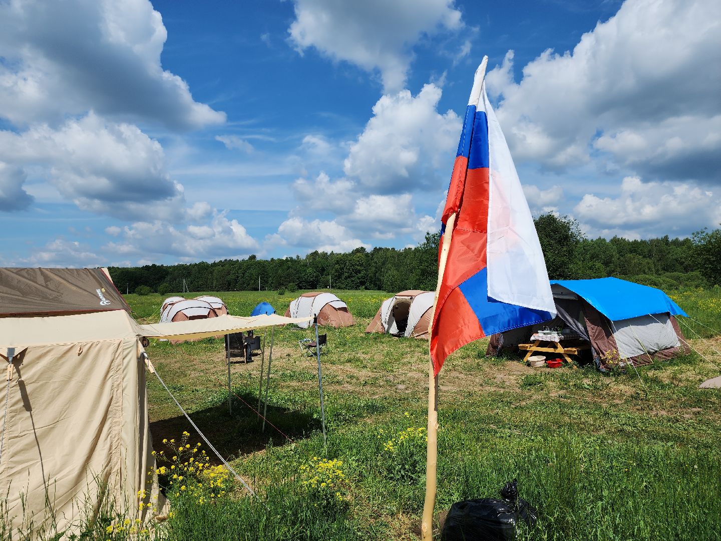 серпухов, подмосковье, зиброво, археологи, раскопки, дети,