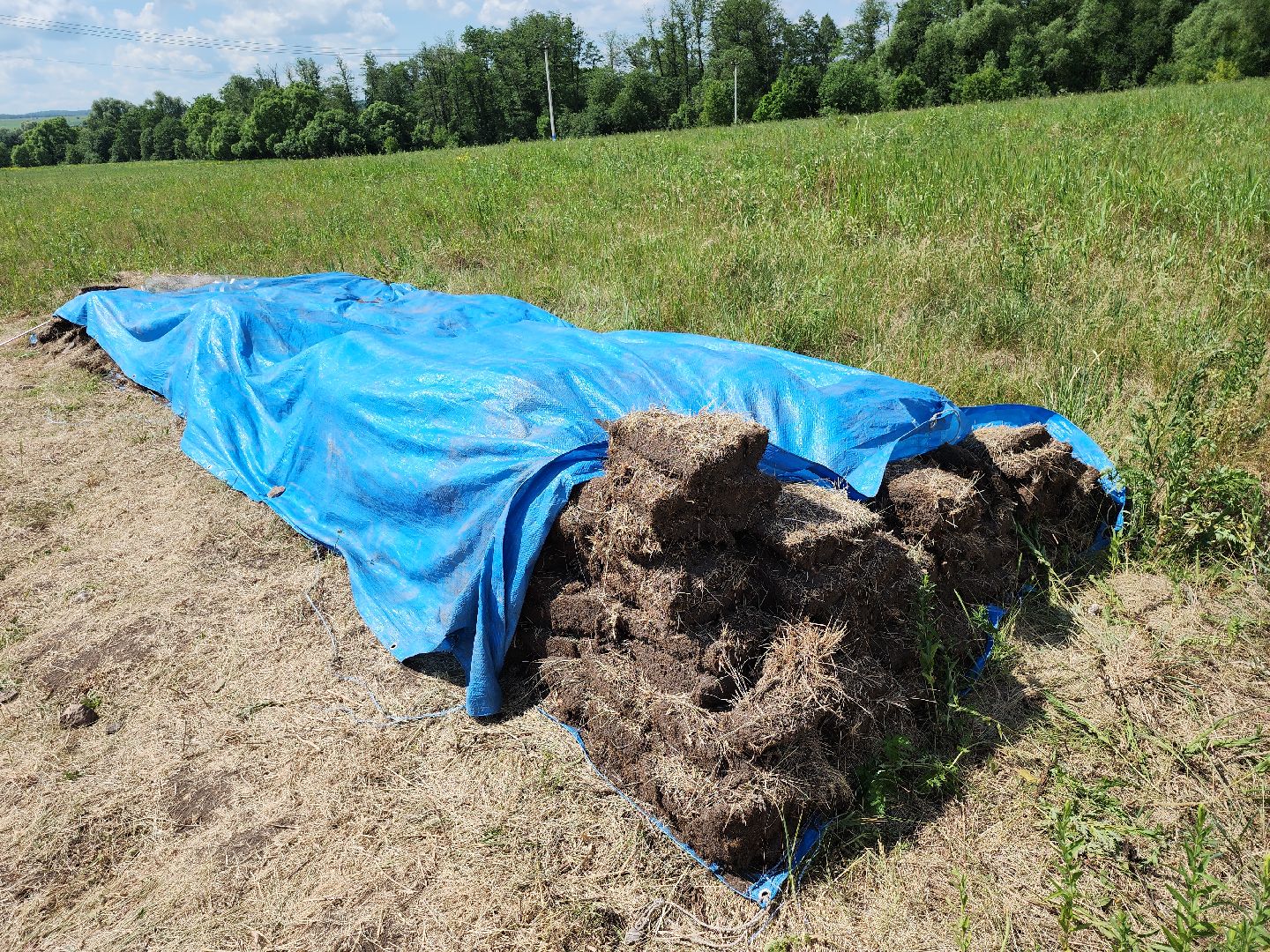 серпухов, подмосковье, зиброво, археологи, раскопки, дети,