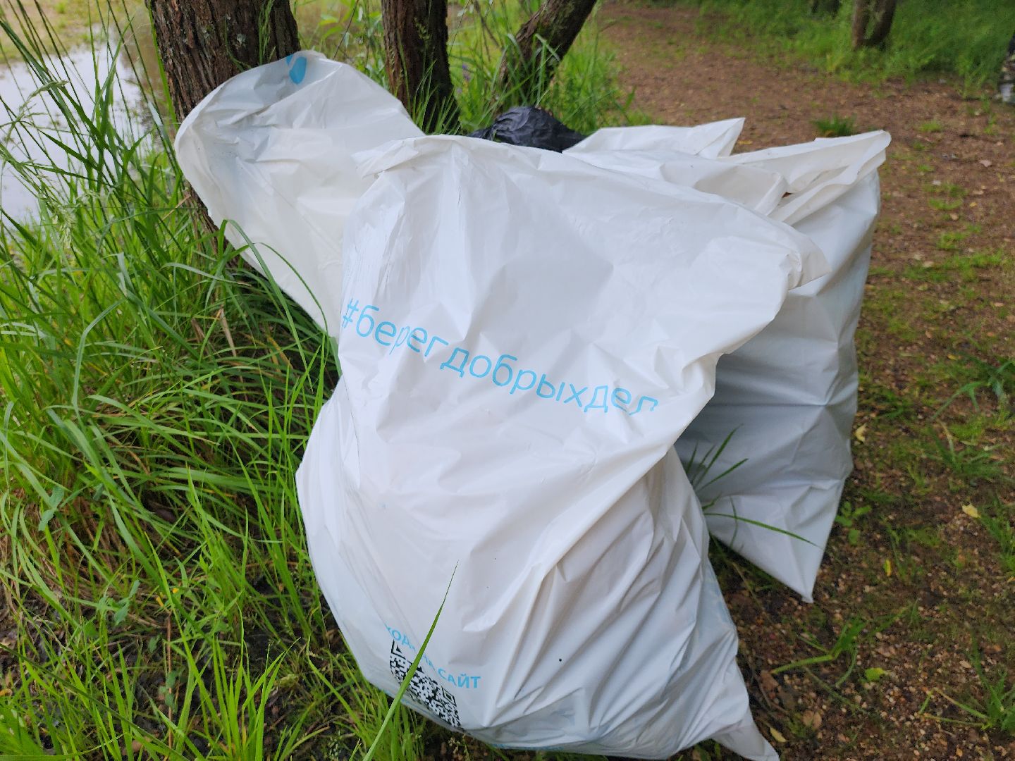 вода россии, экология, экологическая акция, руза, рузский городской округ, волонтеры подмосковья, московская область,