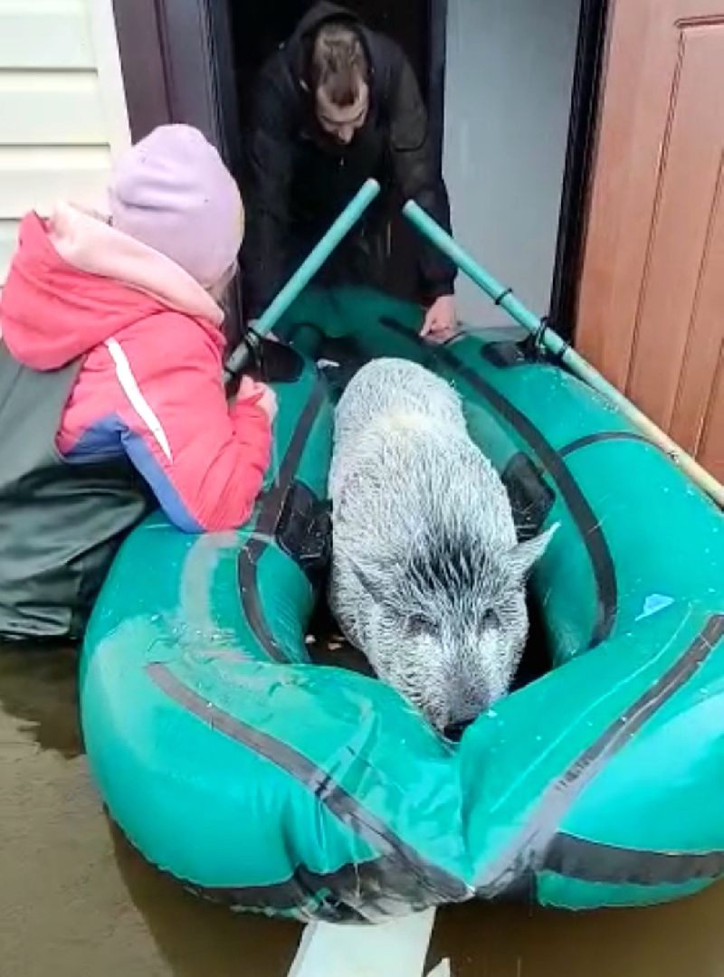 подтопление, ЧП, паводок, Воскресенск